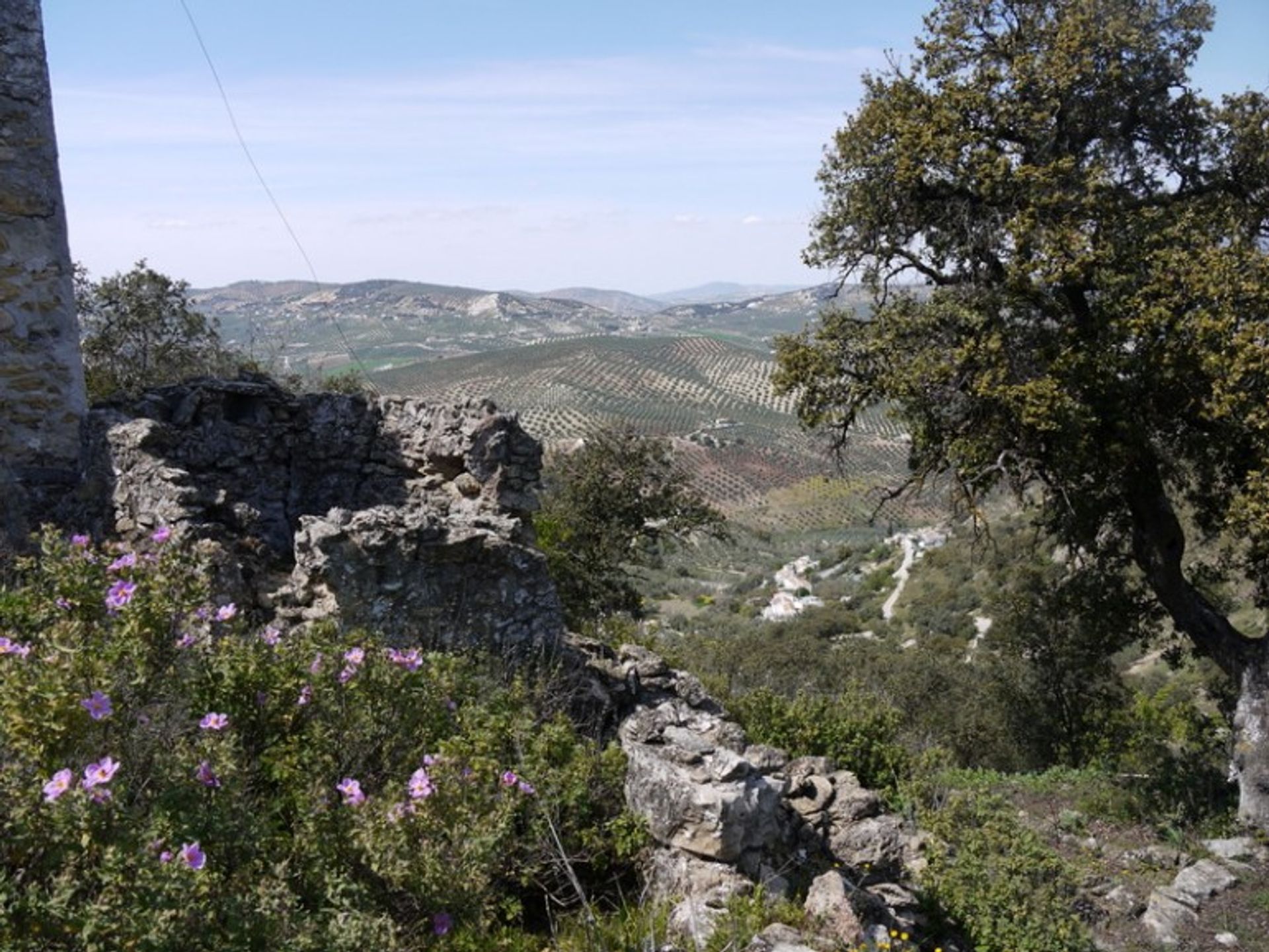 Tanah di Villanueva de Tapia, Andalusia 10214414