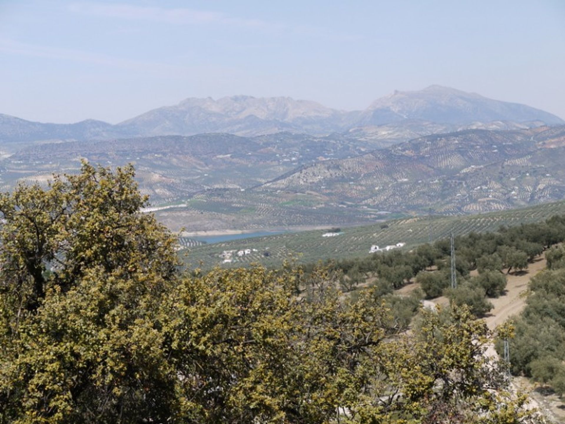 Land in Villanueva de Tapia, Andalusië 10214414