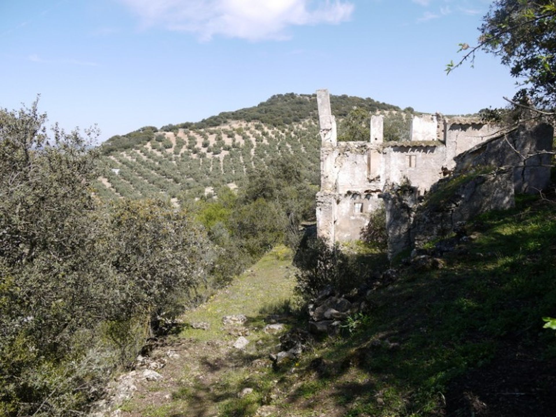 Land in Fuente del Conde, Andalucía 10214414