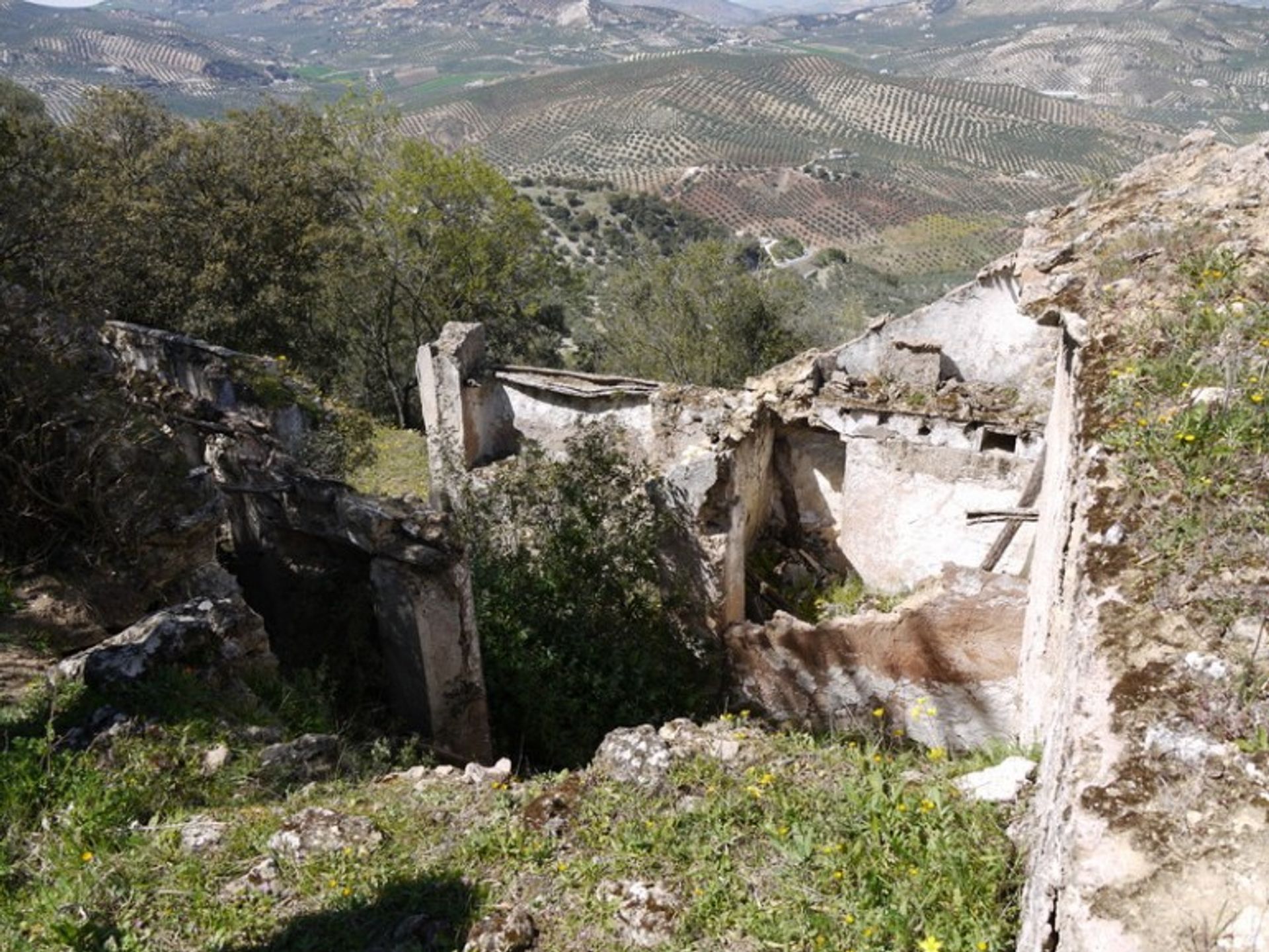 土地 在 Fuente del Conde, Andalucía 10214414