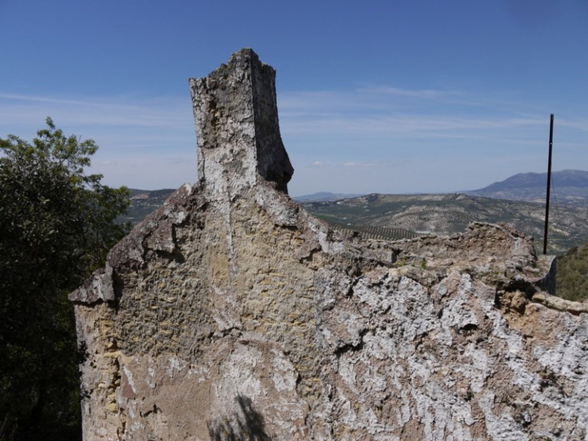 Tanah di Villanueva de Tapia, Andalusia 10214414