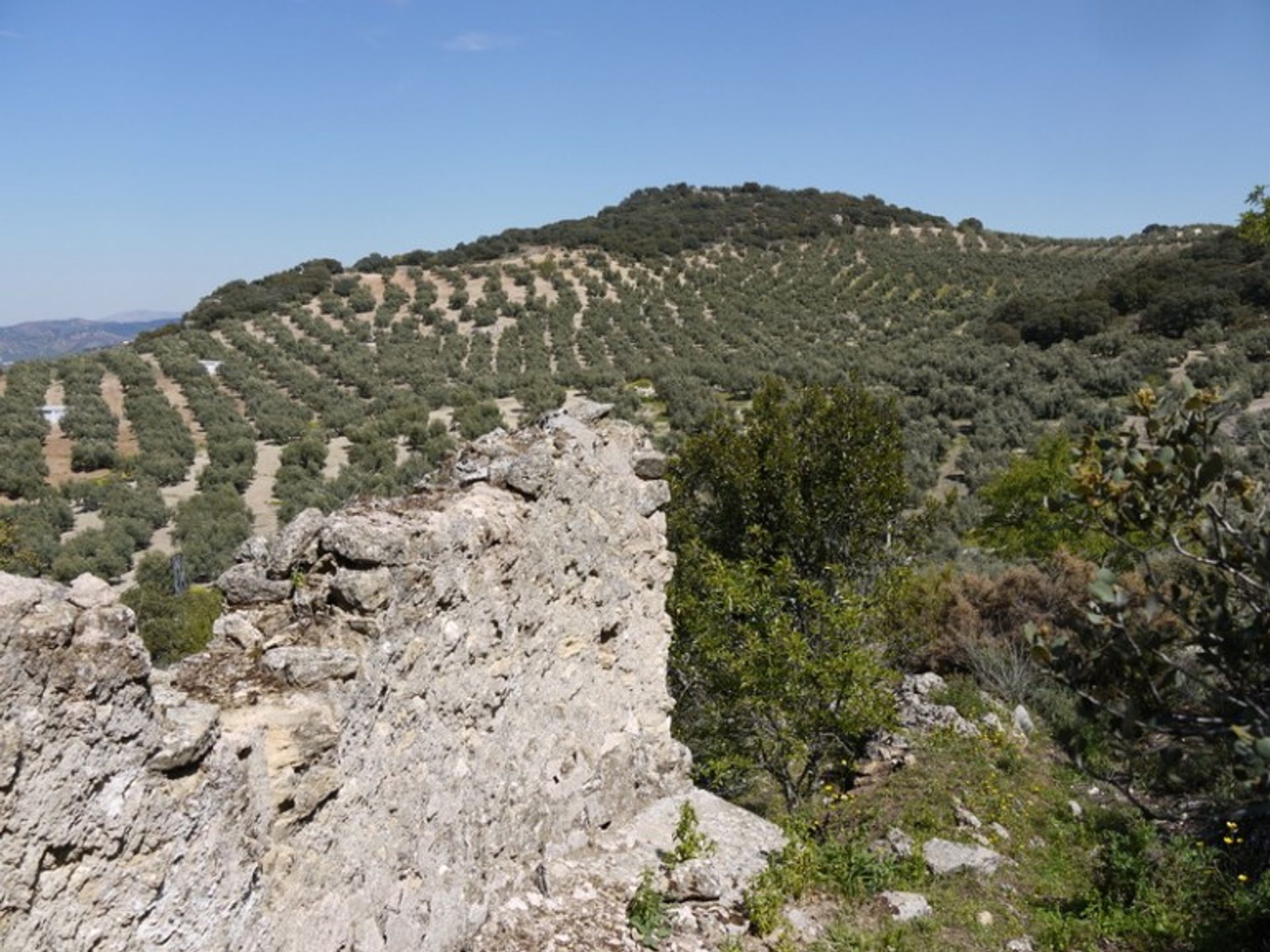 भूमि में Fuente del Conde, Andalucía 10214414