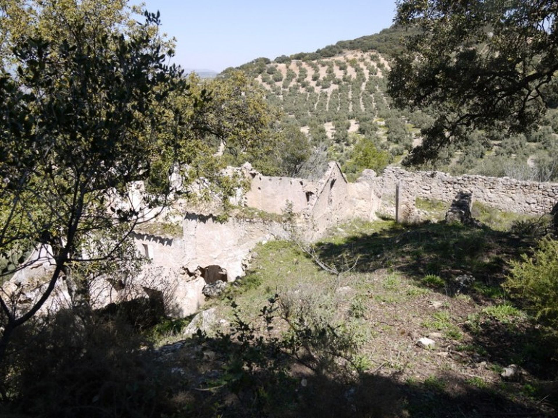 土地 在 Fuente del Conde, Andalucía 10214414