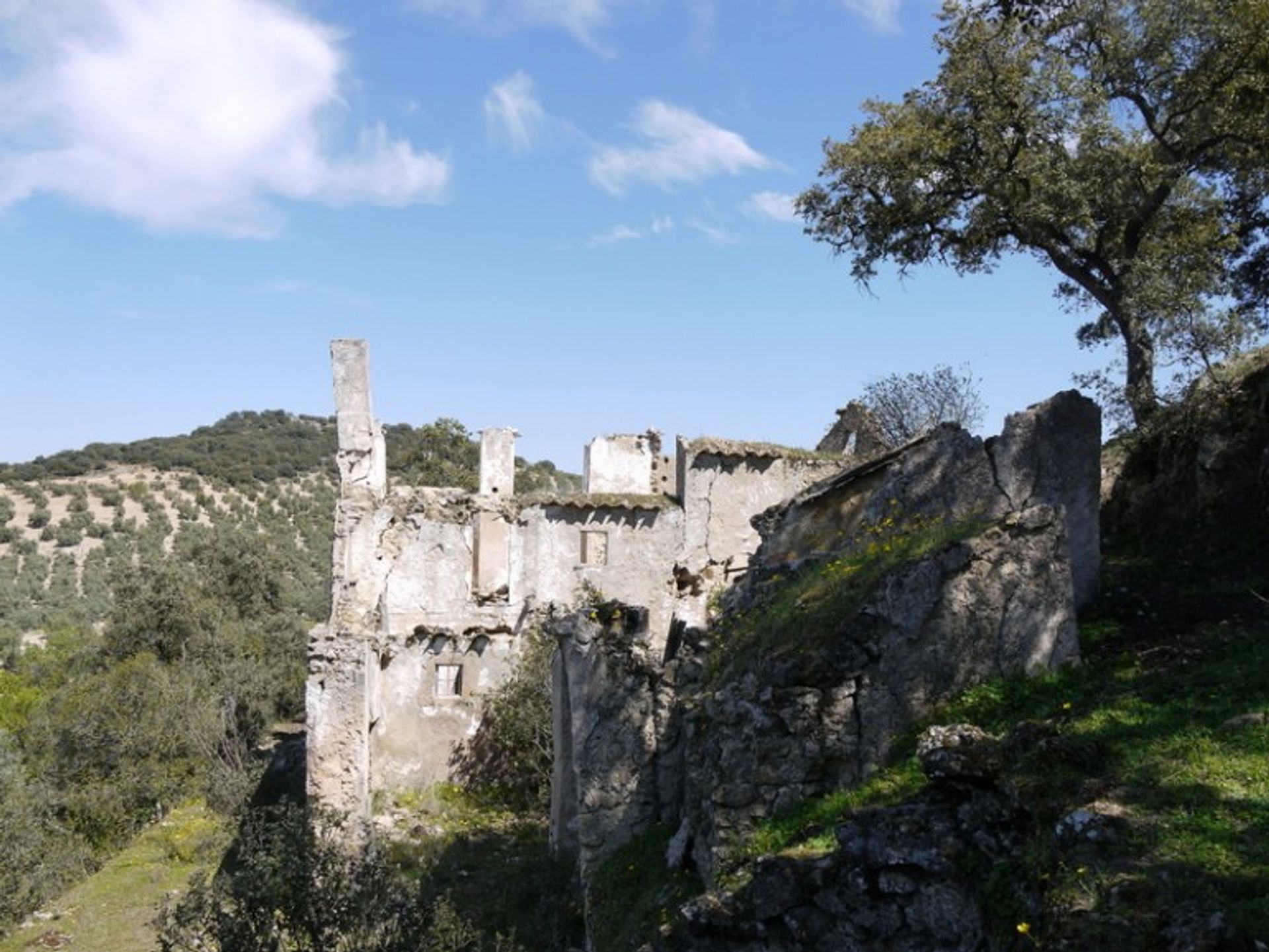 Tanah di Fuente del Conde, Andalucía 10214414