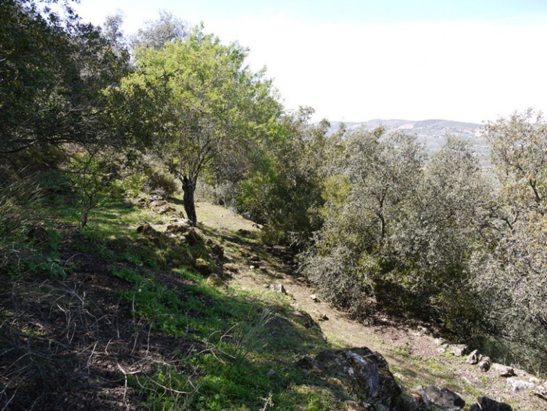 Land in Fuente del Conde, Andalucía 10214414