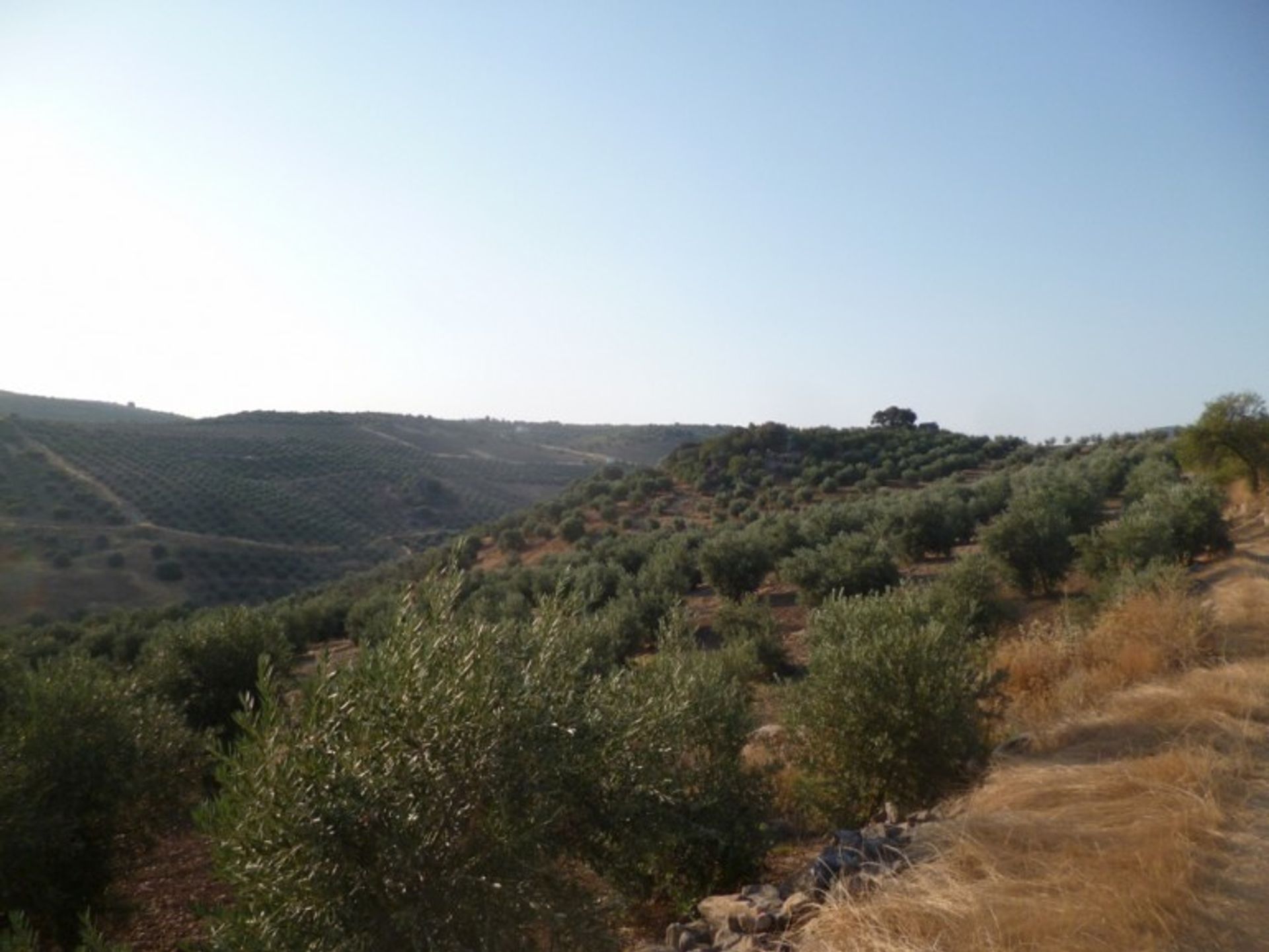 Maa sisään Olvera, Andalusia 10214524