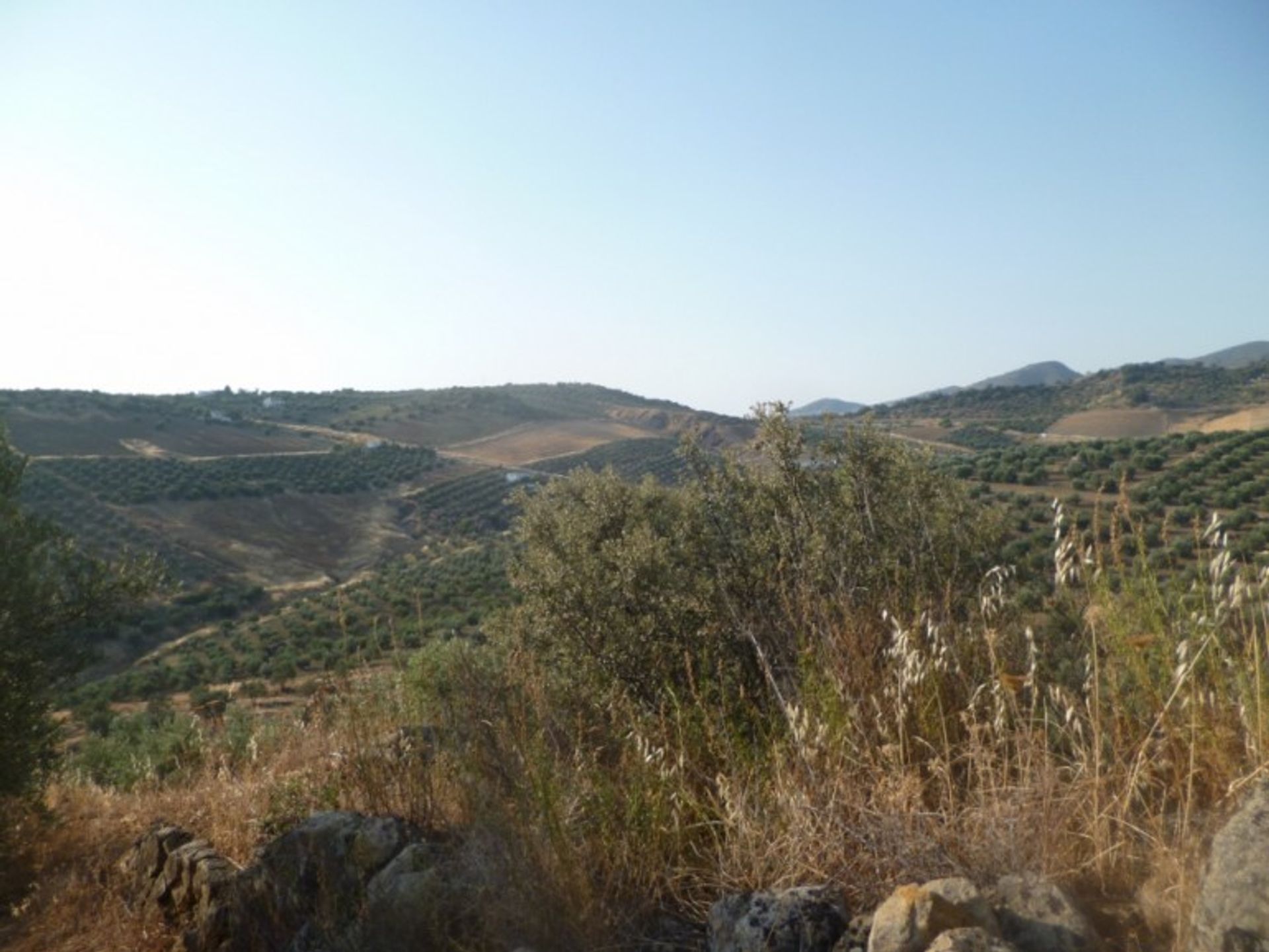 Maa sisään Olvera, Andalusia 10214524