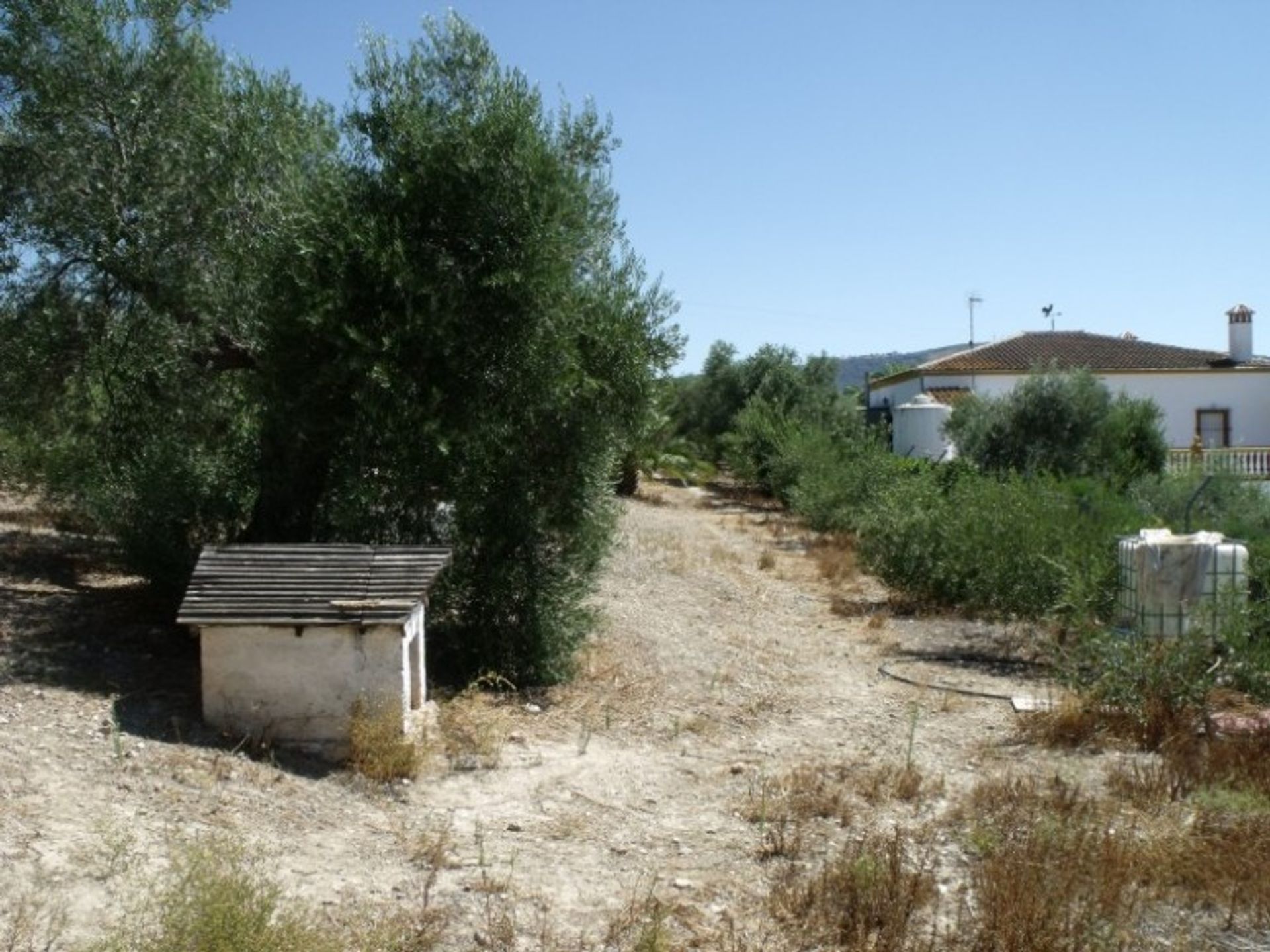 Hus i Olvera, Andalusia 10214530