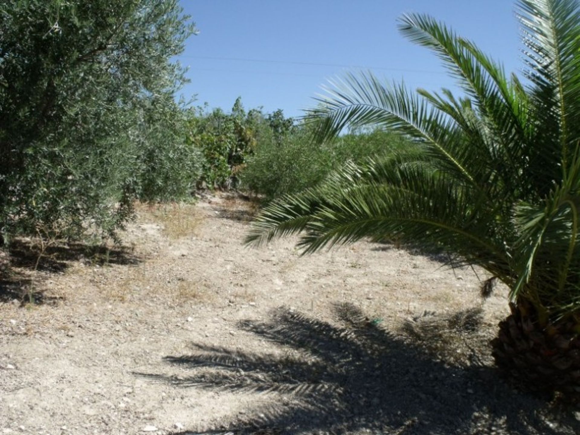 Rumah di Olvera, Andalusia 10214530