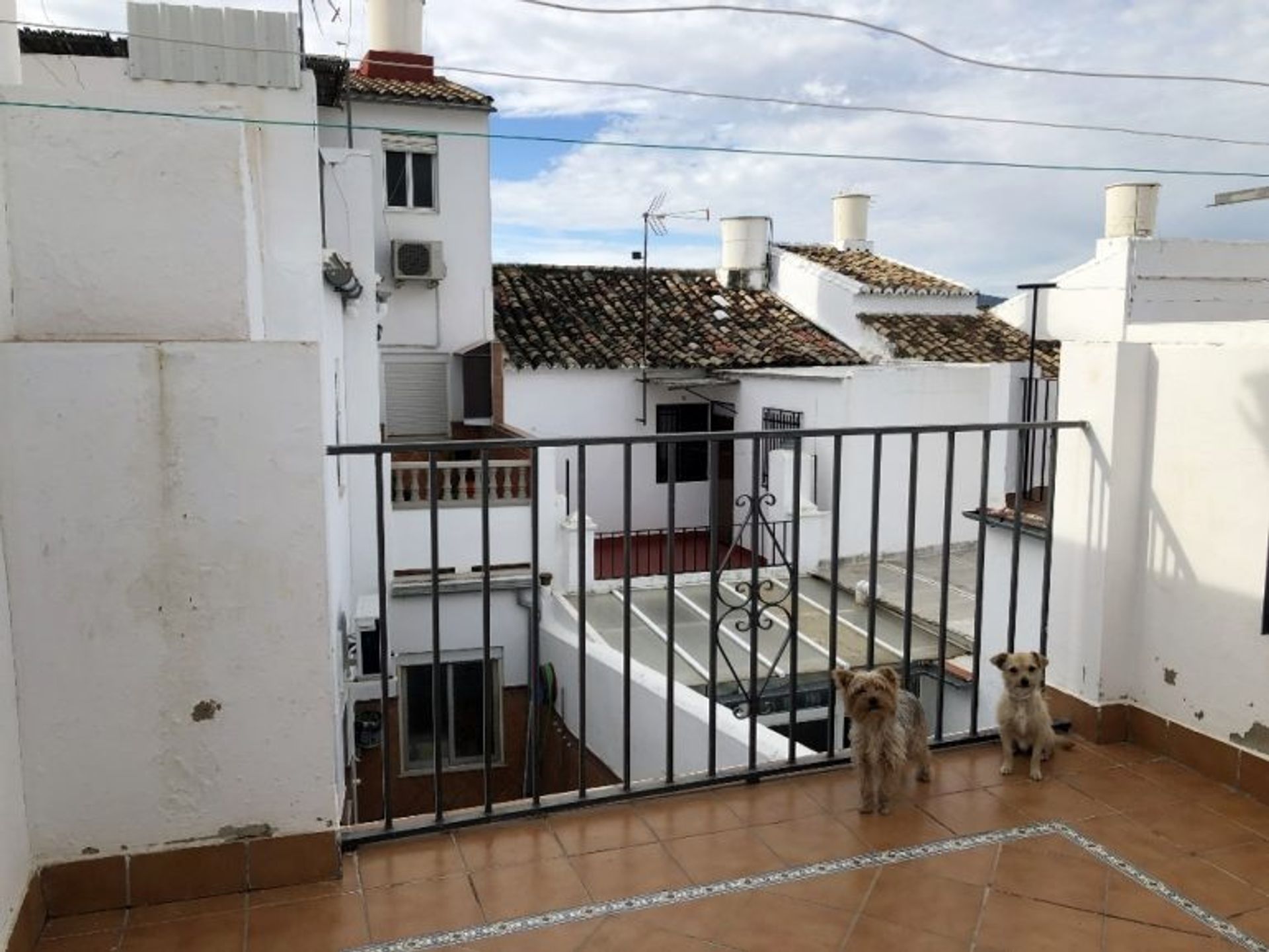 House in Olvera, Andalusia 10214563