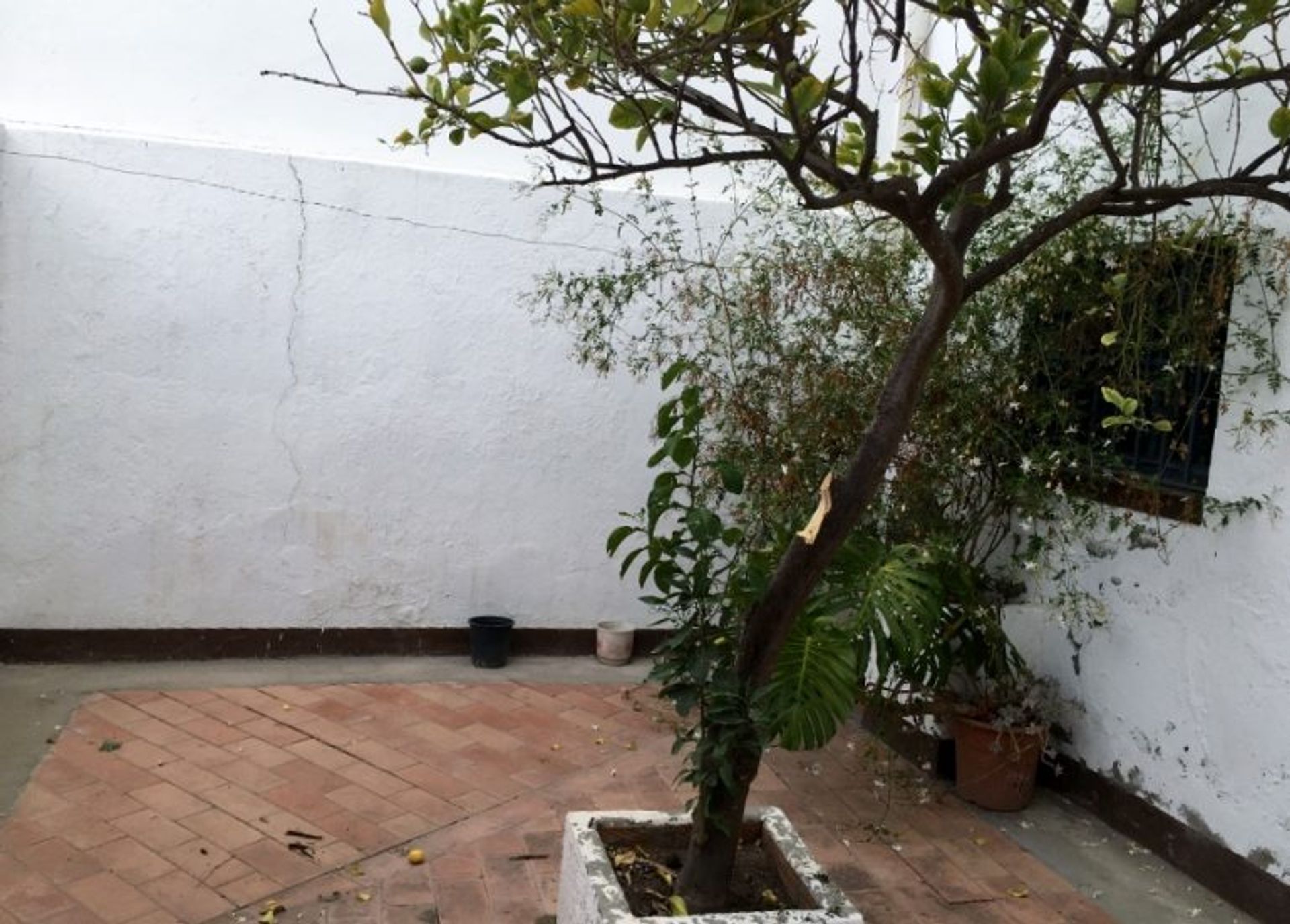 Huis in Olvera, Andalusia 10214569