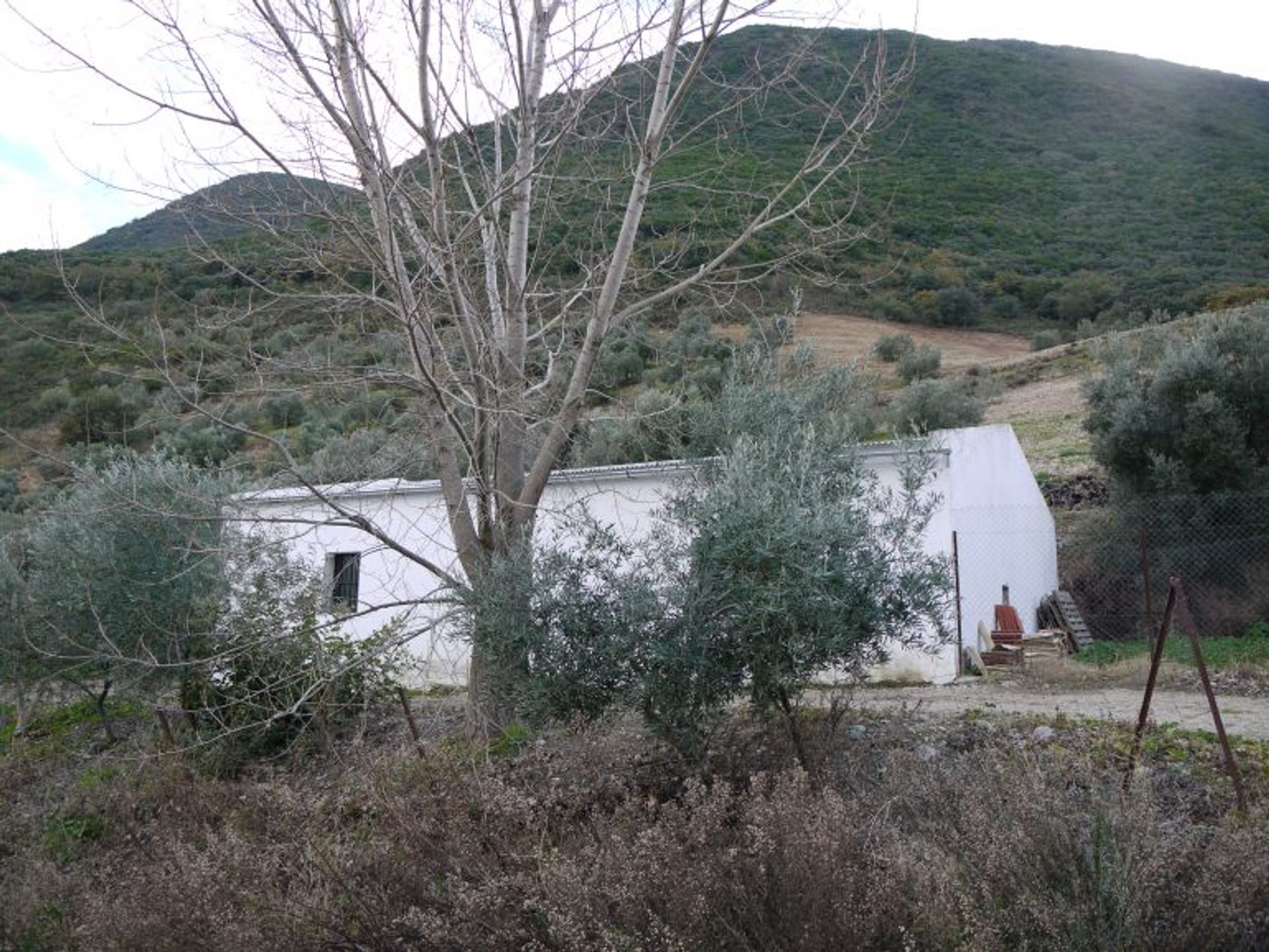 Huis in Algámitas, Andalusia 10214577