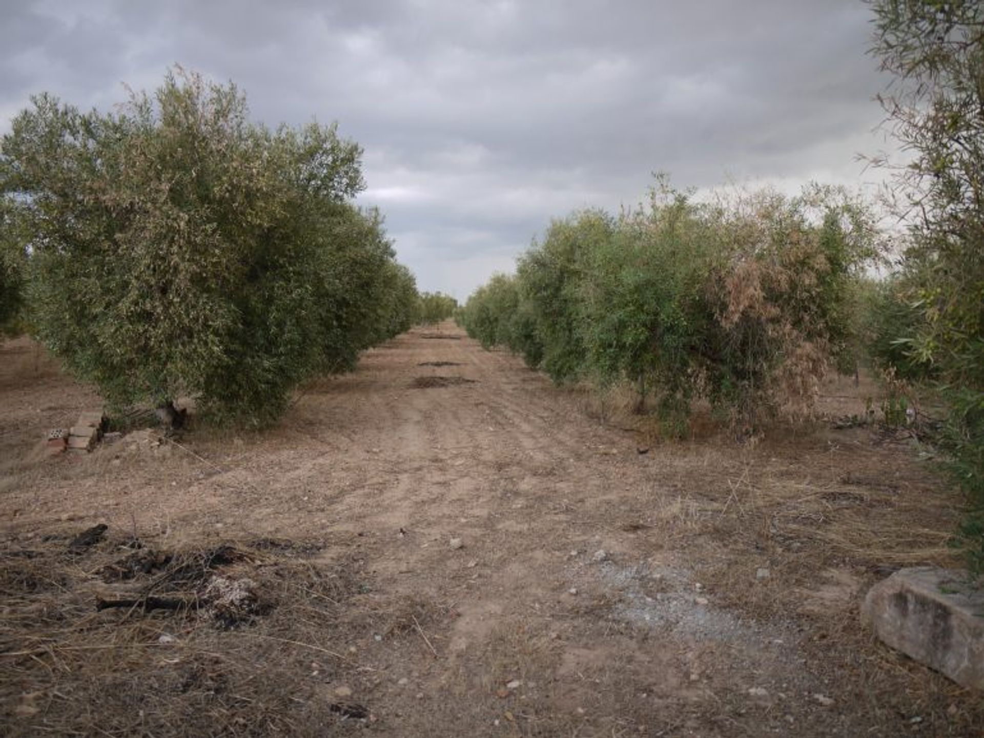 σπίτι σε Morón de la Frontera, Andalusia 10214580