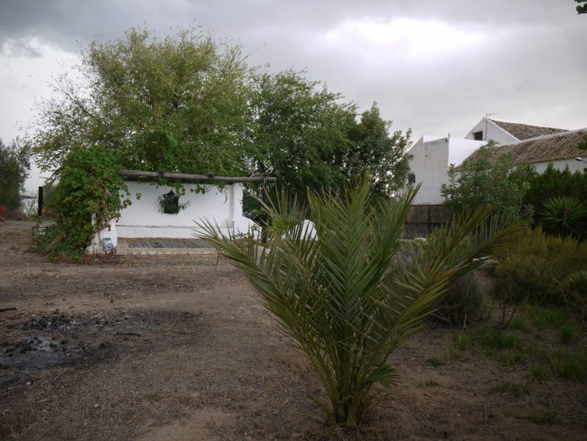 σπίτι σε Morón de la Frontera, Andalusia 10214580