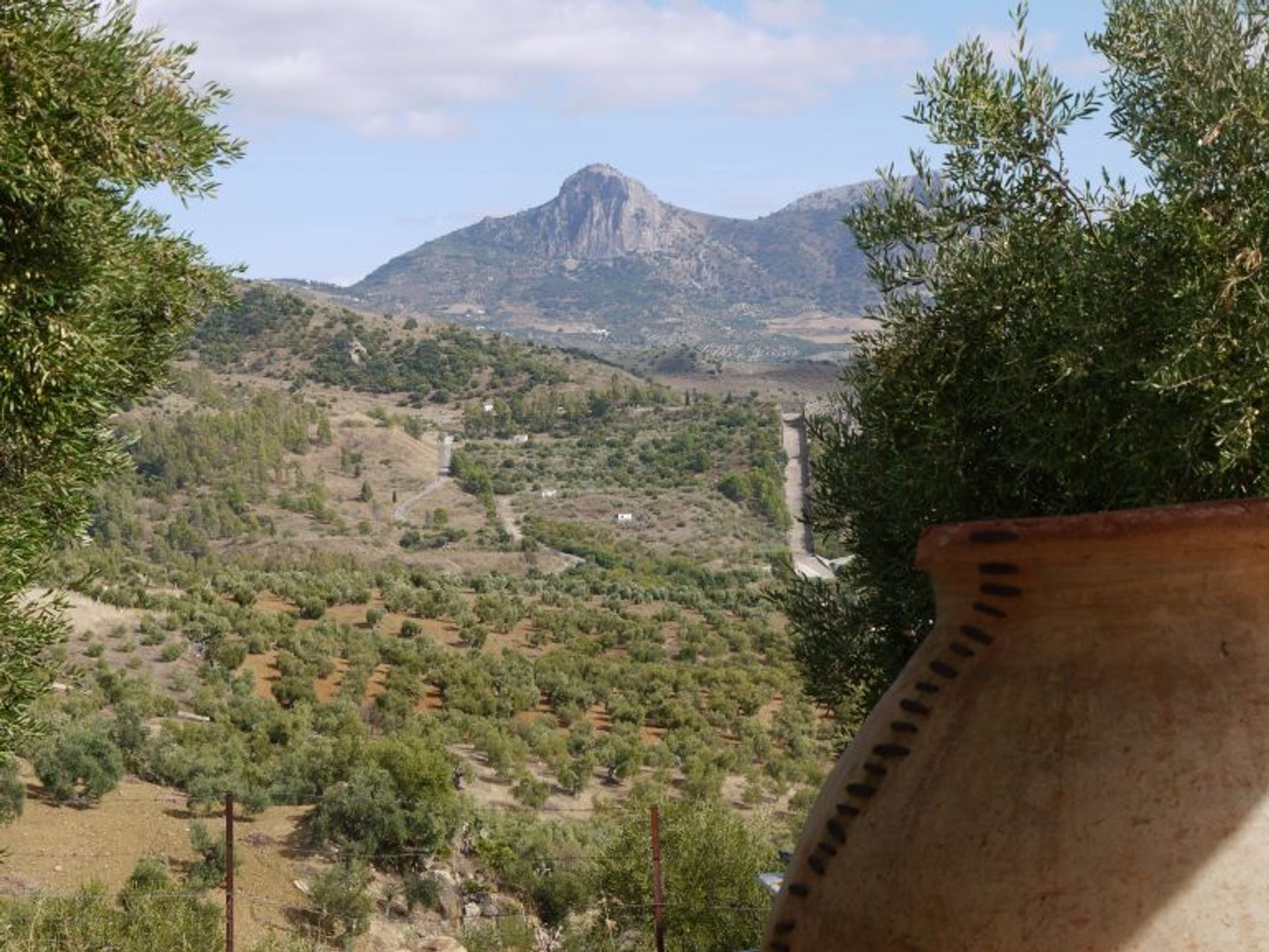 Casa nel Algodonales, Andalusia 10214586