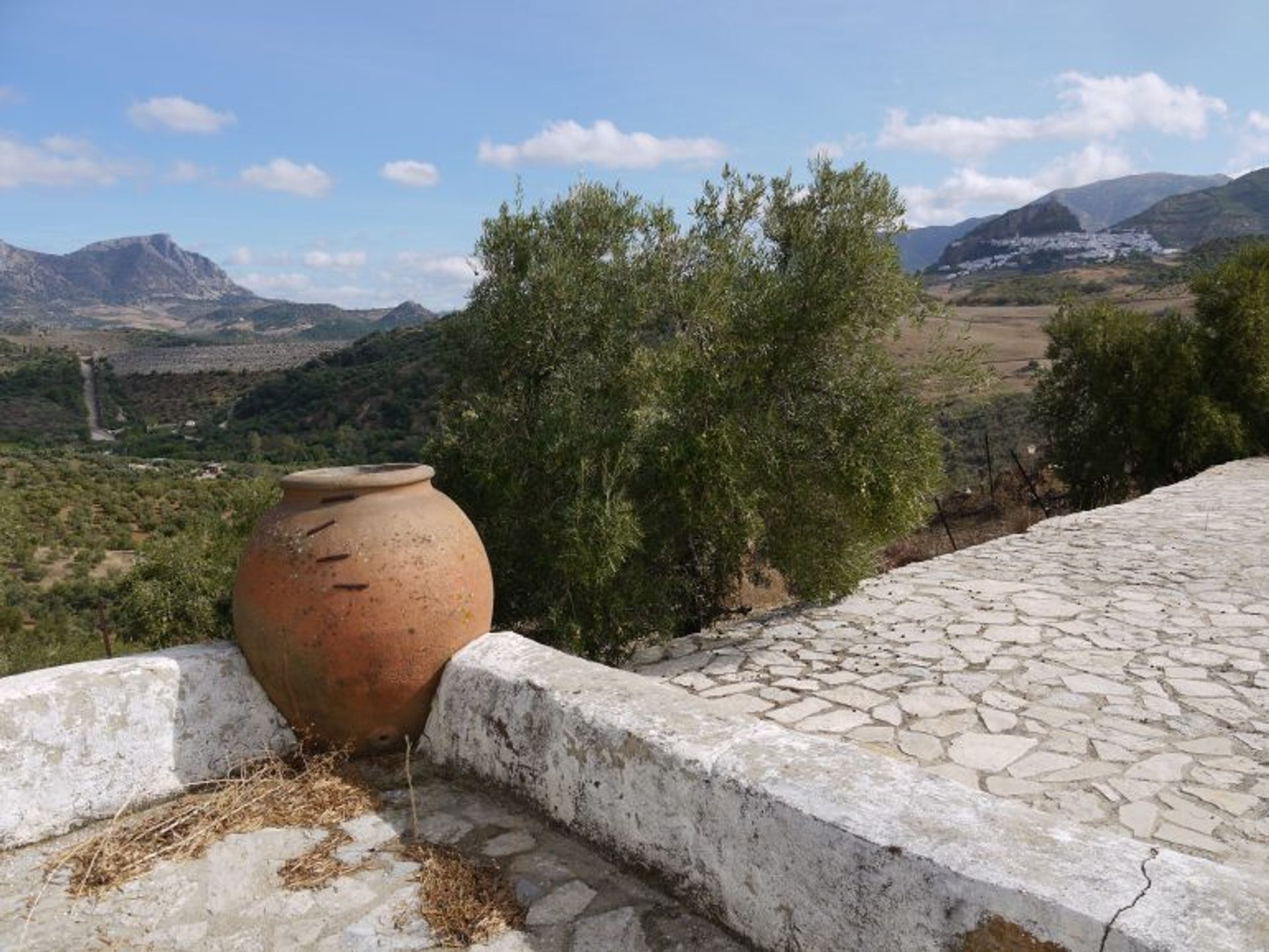 Casa nel Algodonales, Andalusia 10214586