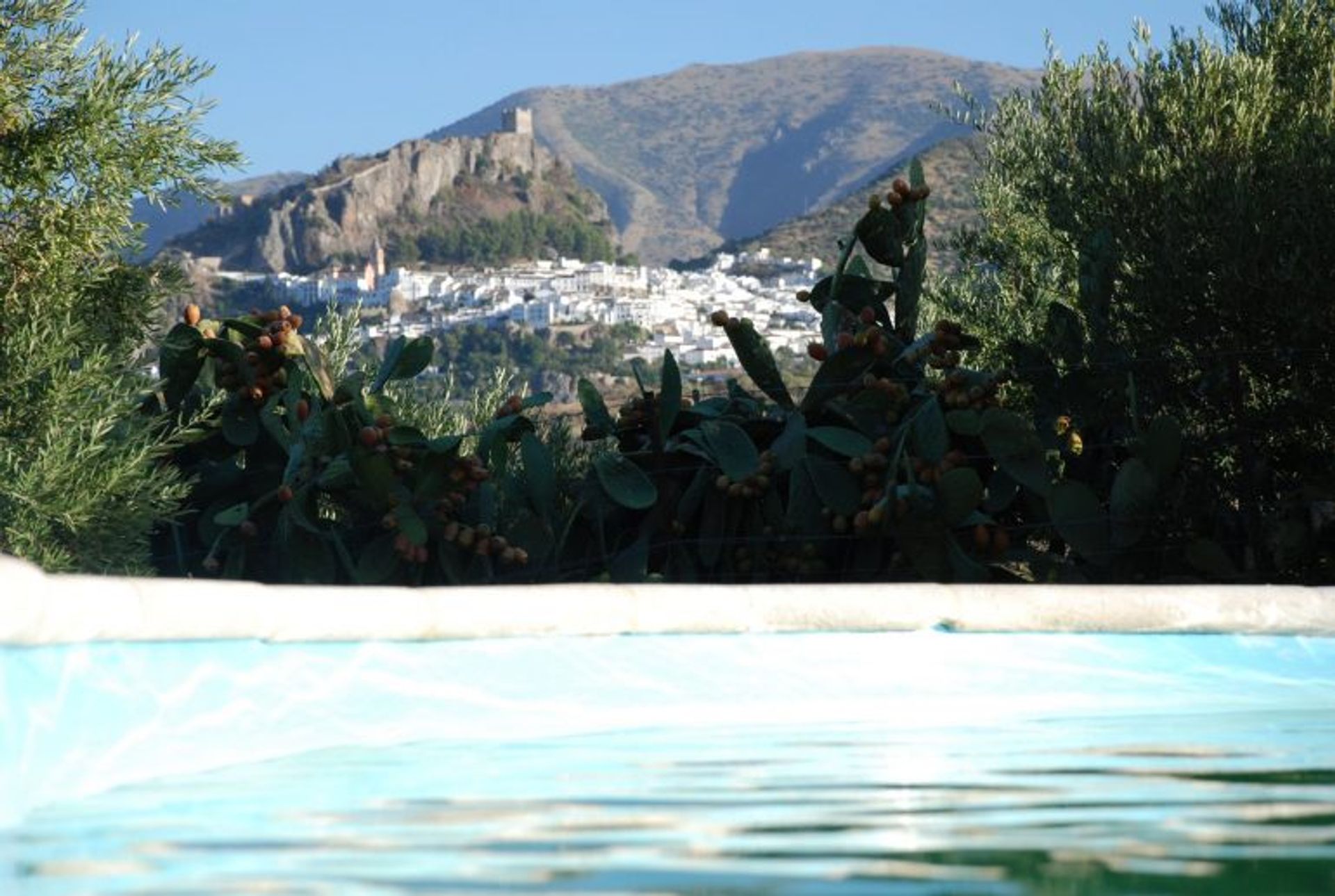 Casa nel Algodonales, Andalusia 10214586