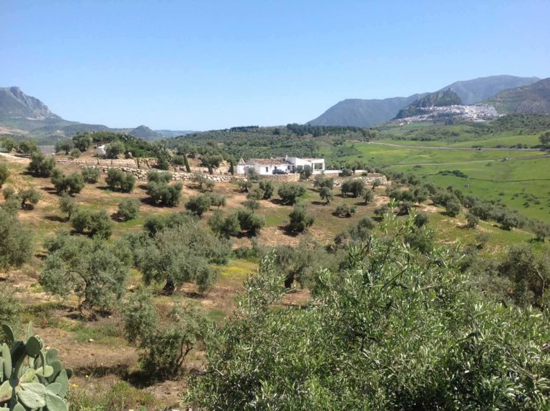 Casa nel Algodonales, Andalusia 10214586