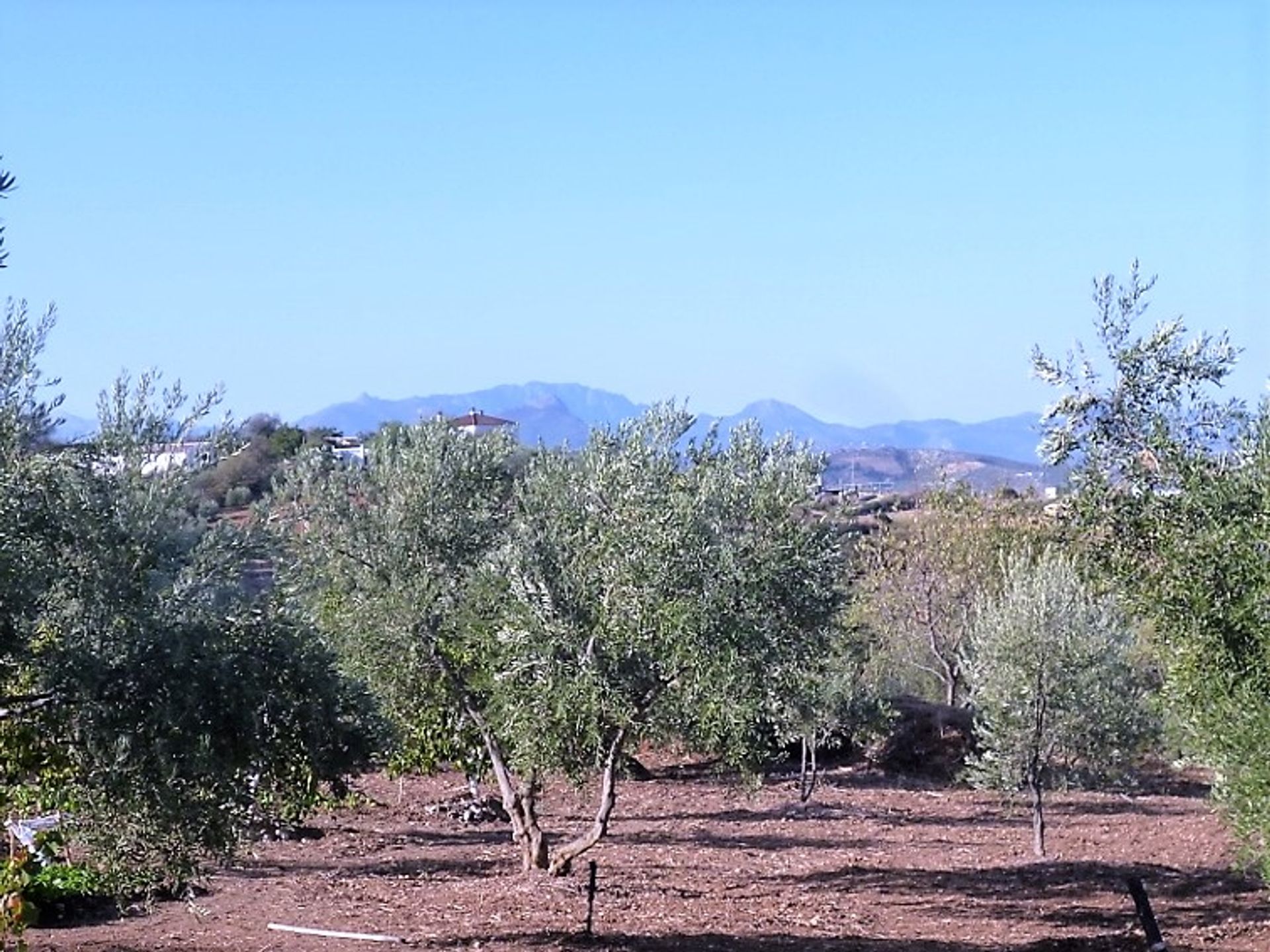 House in Olvera, Andalusia 10214589