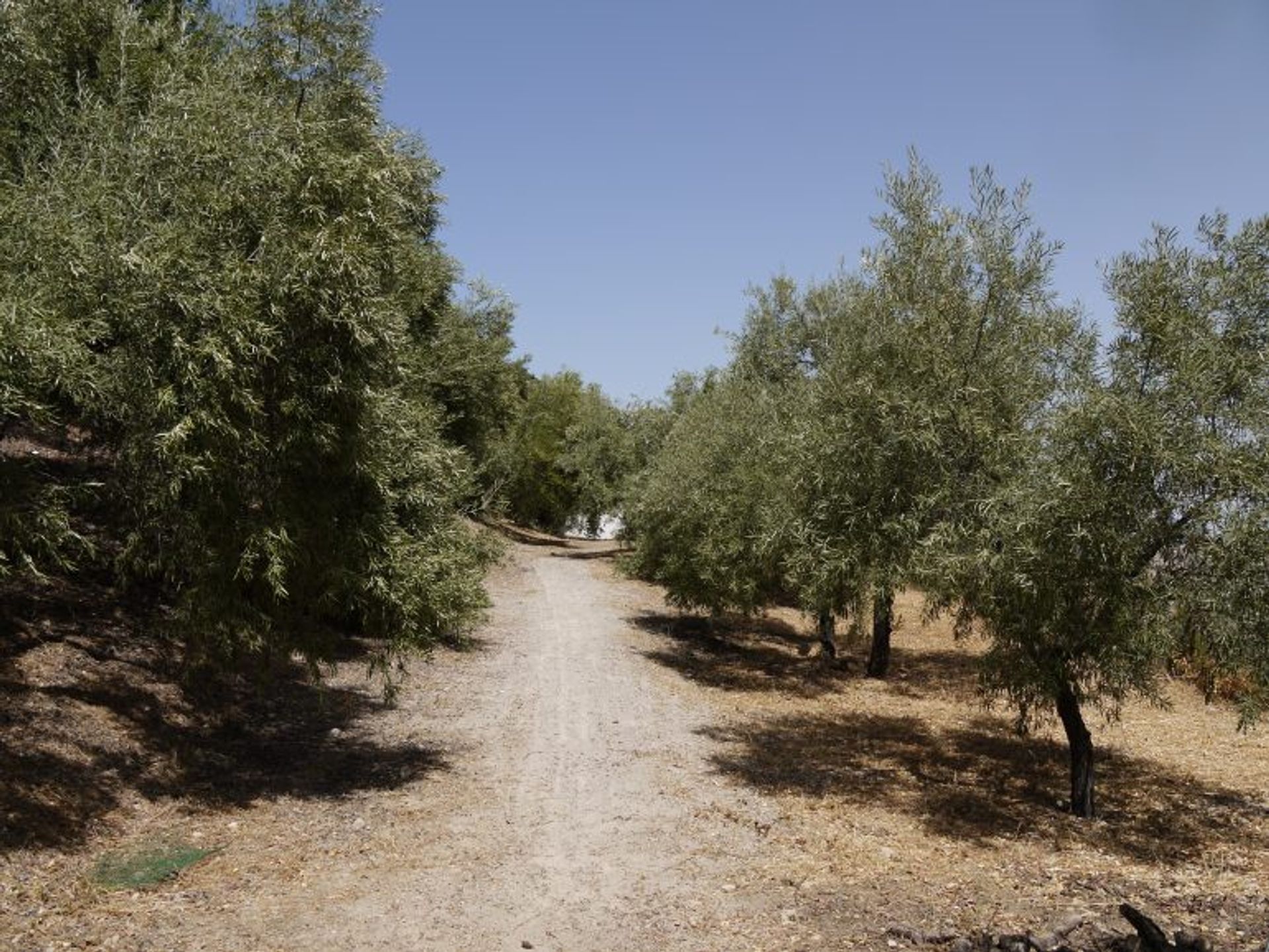 Talo sisään Zahara de la Sierra, Andalusia 10214601