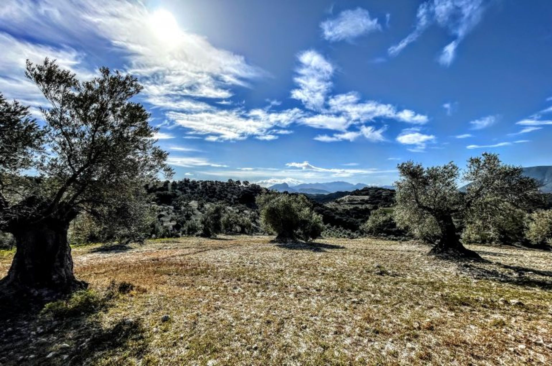 σπίτι σε Olvera, Andalusia 10214606