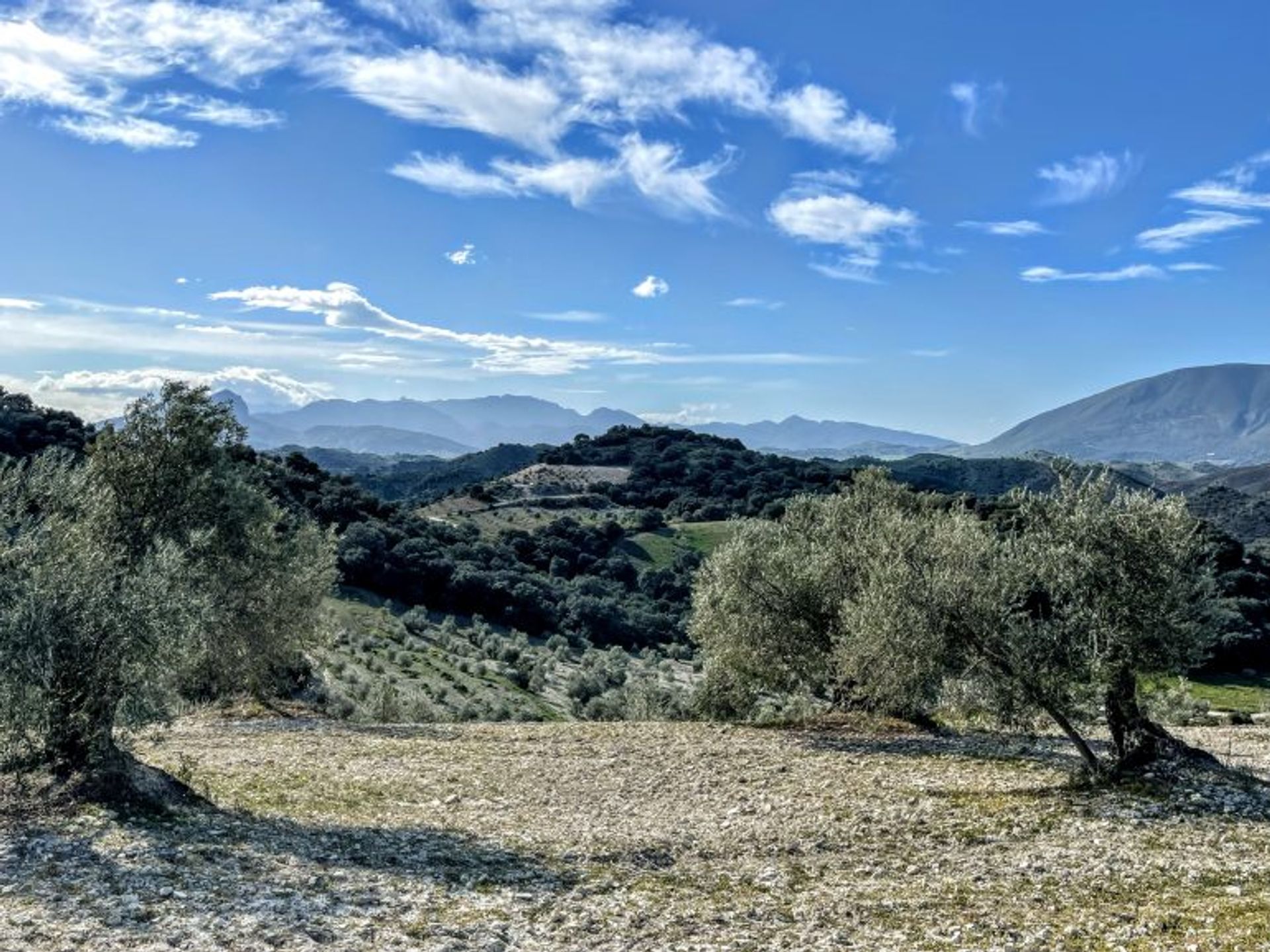 σπίτι σε Olvera, Andalusia 10214606