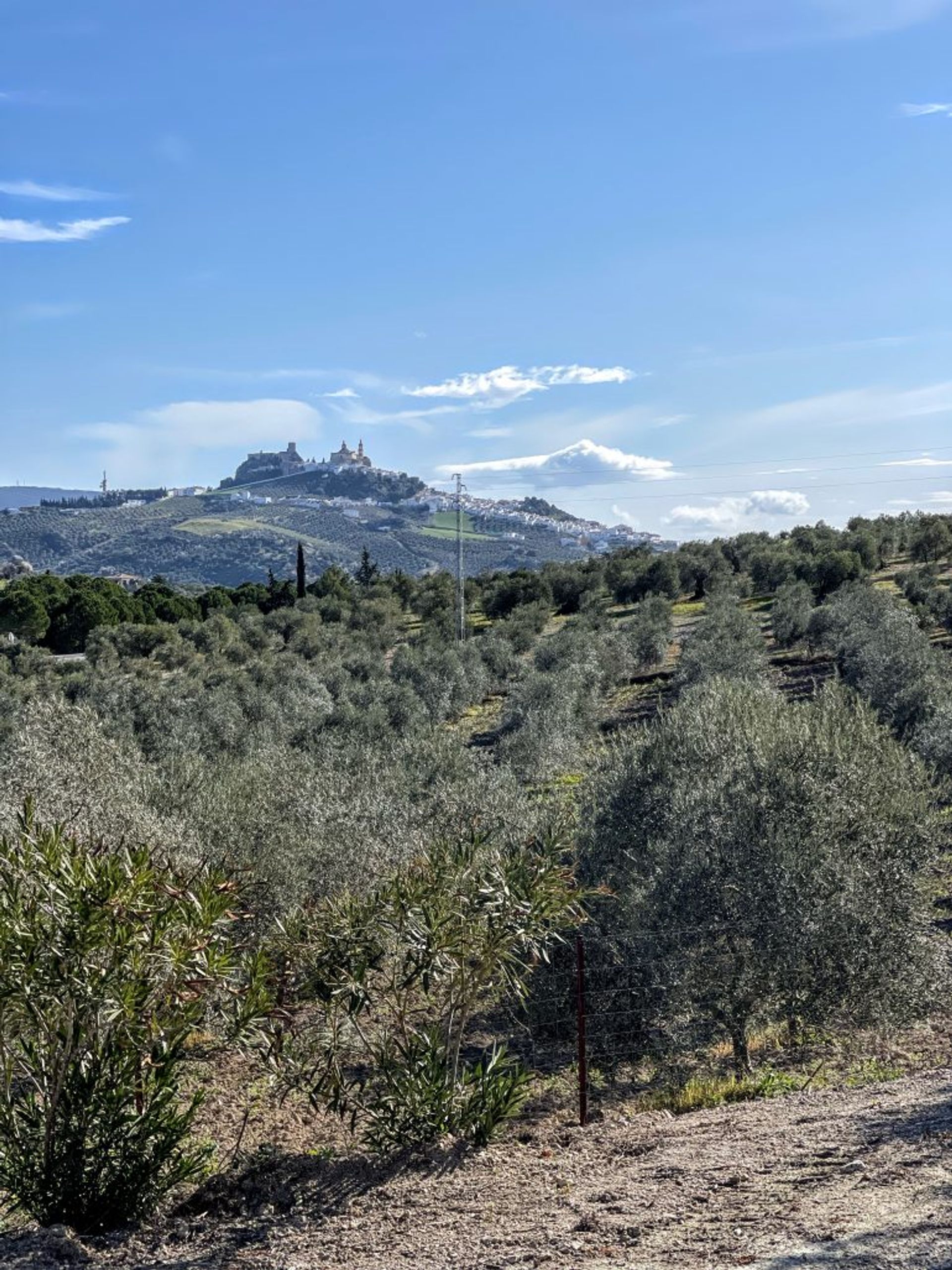 σπίτι σε Olvera, Andalusia 10214606