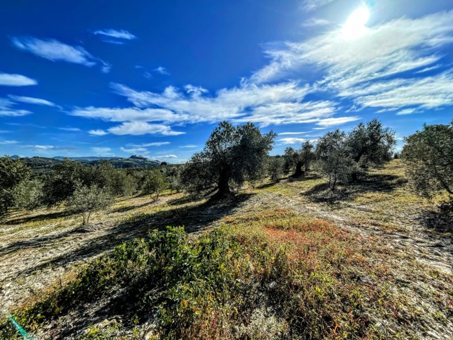 σπίτι σε Olvera, Andalusia 10214606