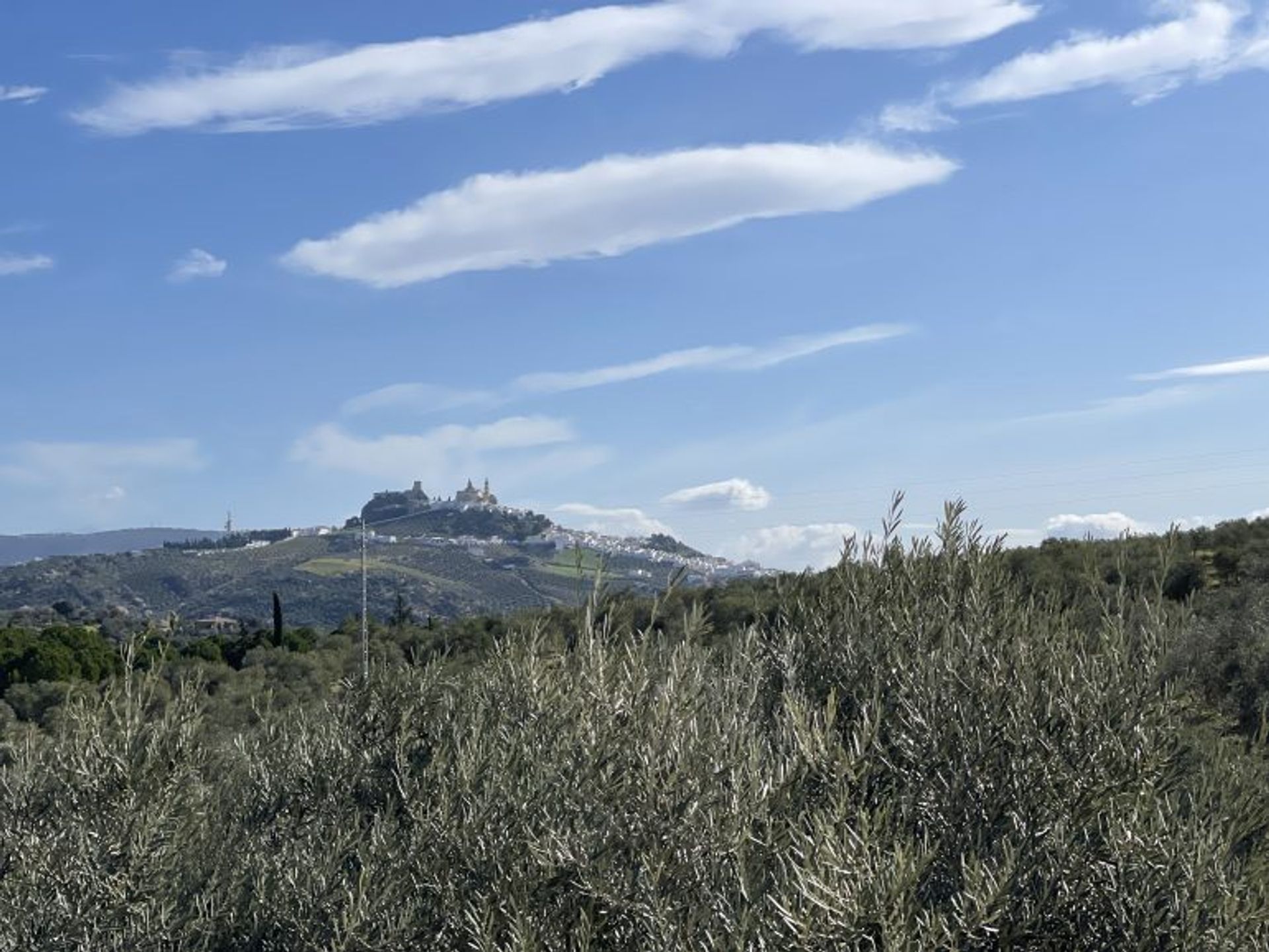 σπίτι σε Olvera, Andalusia 10214606