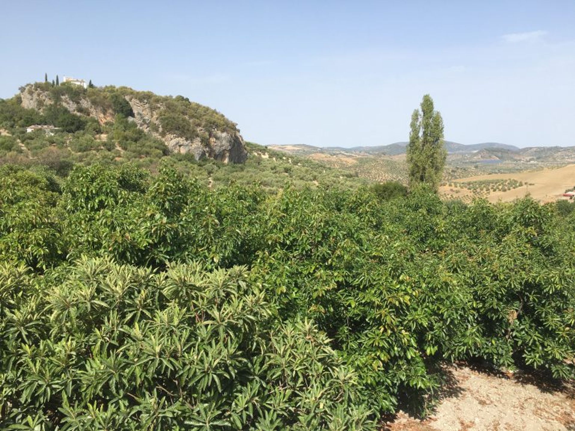 жилой дом в Zahara de la Sierra, Andalusia 10214609