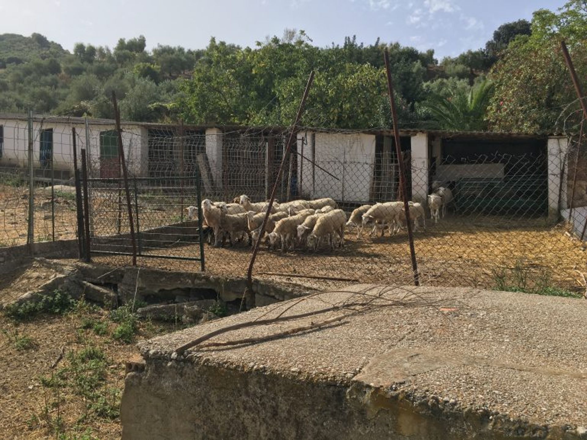 жилой дом в Zahara de la Sierra, Andalusia 10214609