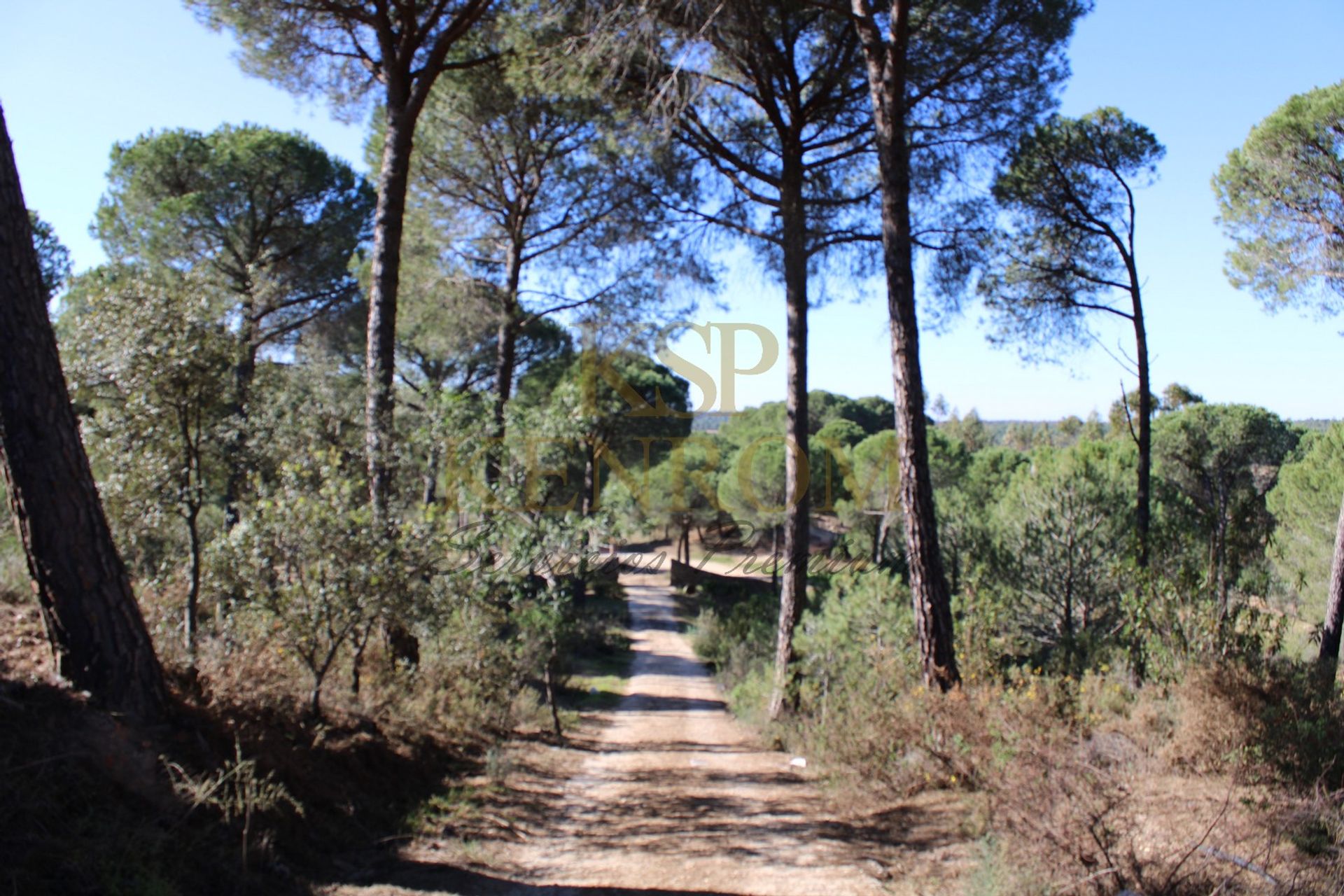 Casa nel , Andalusia 10215487