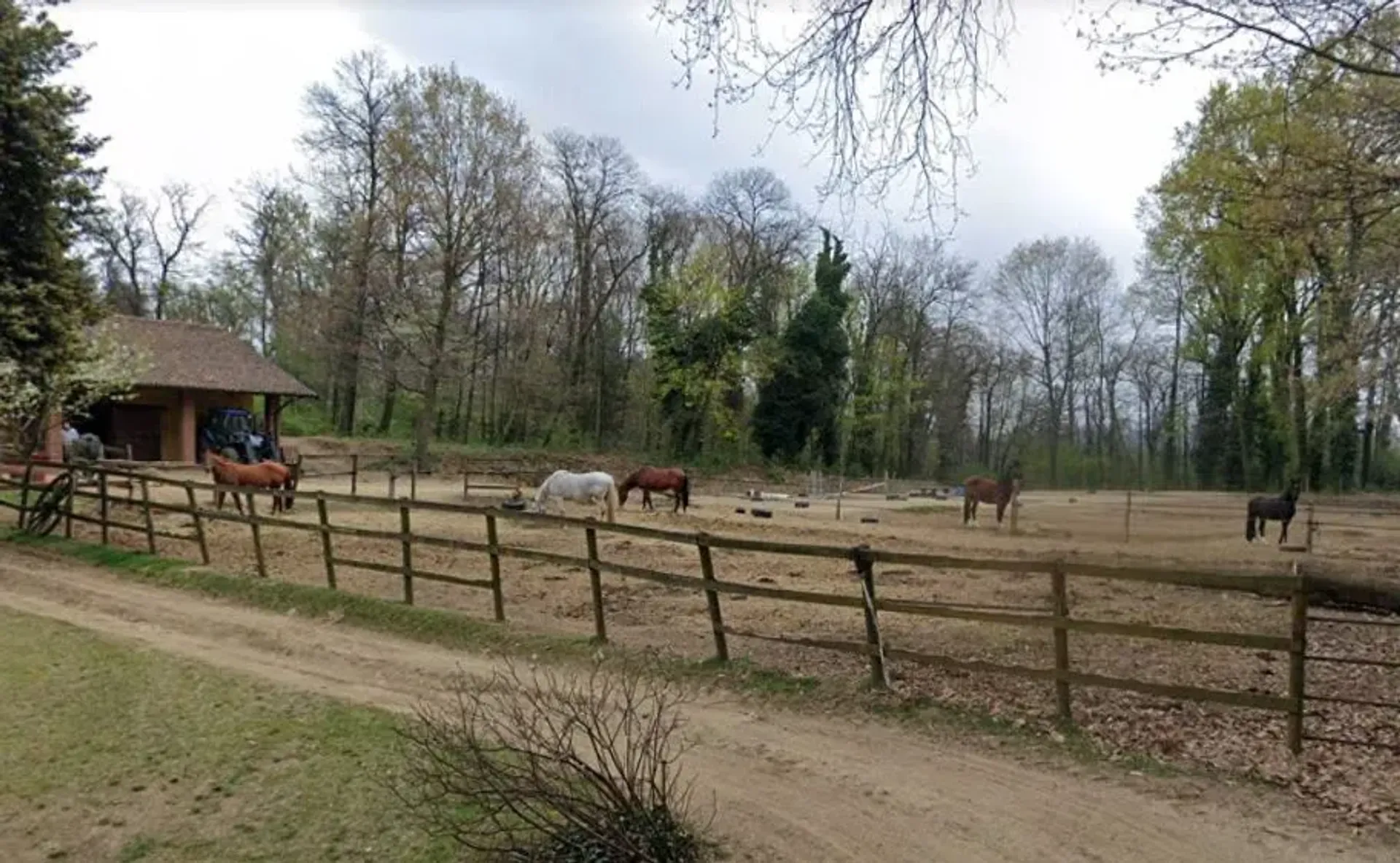 Haus im Varallo Pombia, Piedmont 10215591