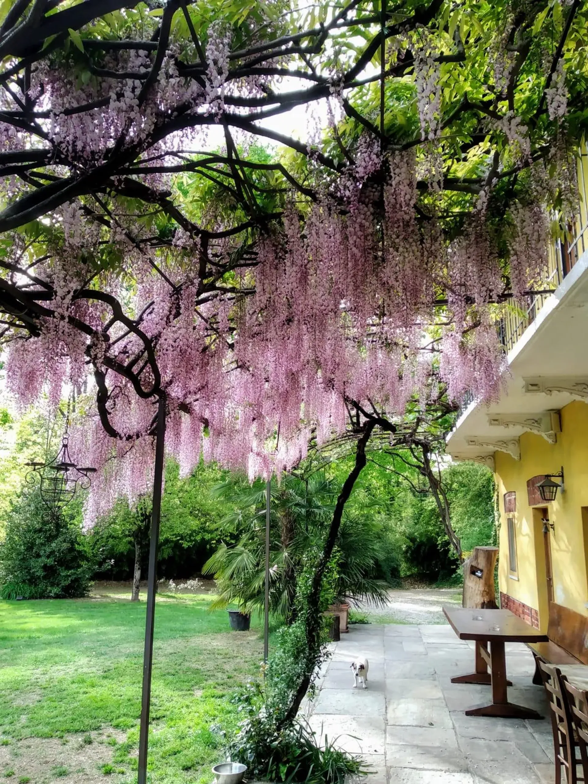 Haus im Varallo Pombia, Piedmont 10215591