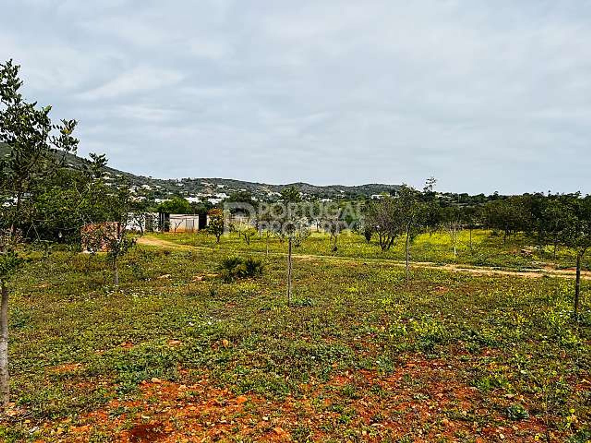 σπίτι σε Santa Bárbara de Nexe, Faro 10216214