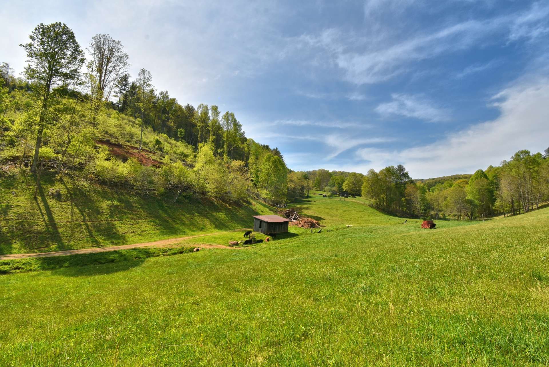 Borettslag i Komet, Nord-Carolina 10216299