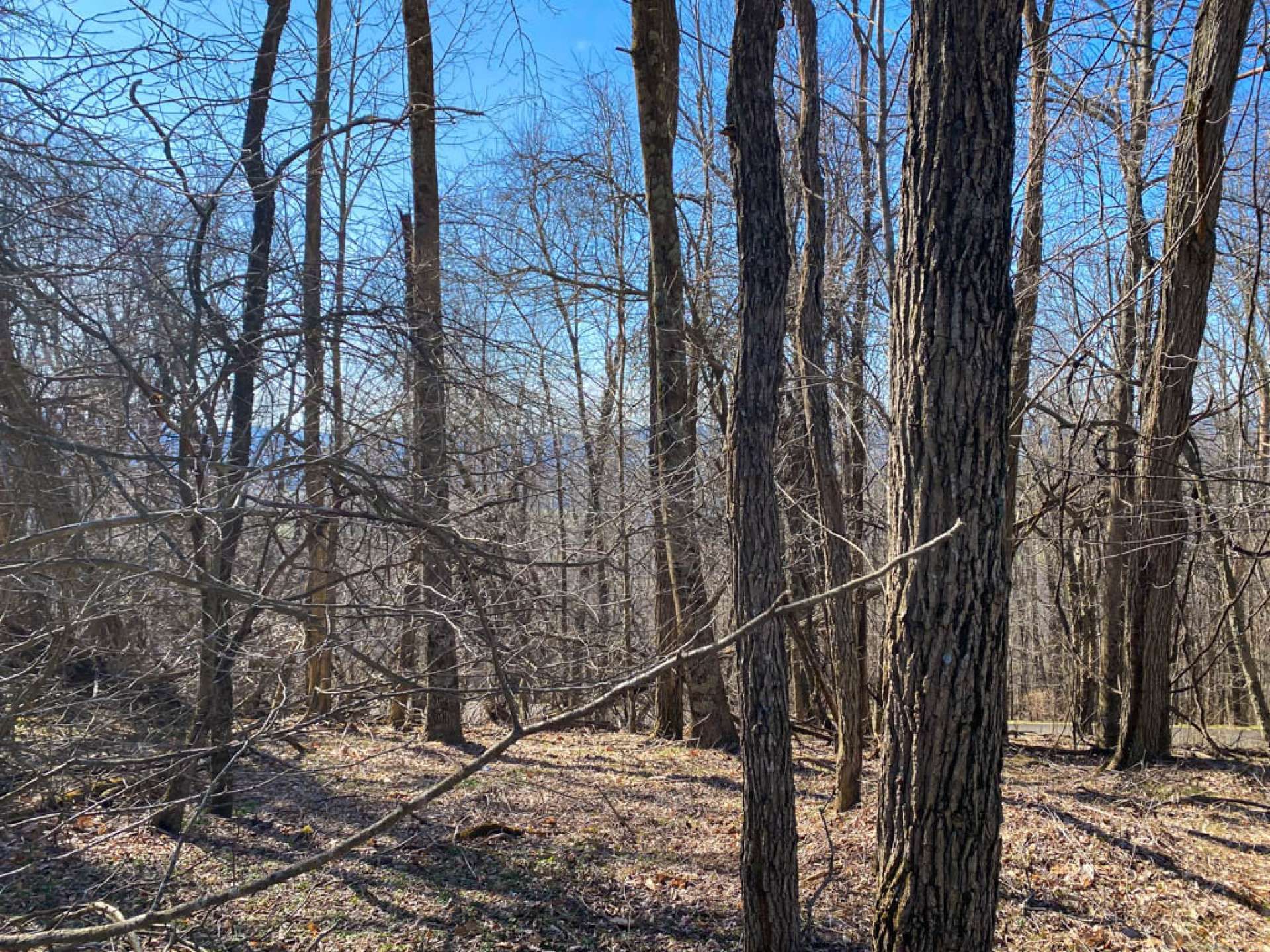 Συγκυριαρχία σε Crumpler, North Carolina 10216300