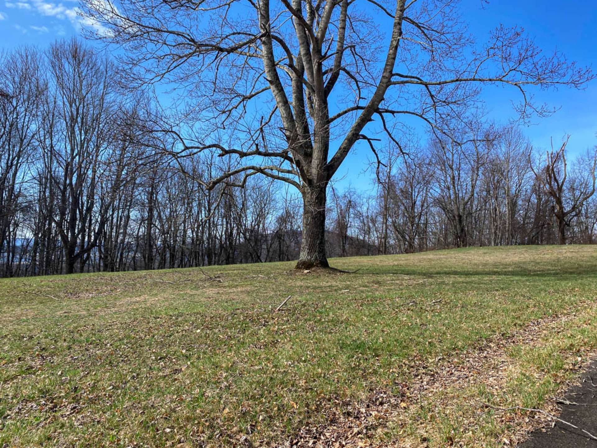 Συγκυριαρχία σε Crumpler, North Carolina 10216300