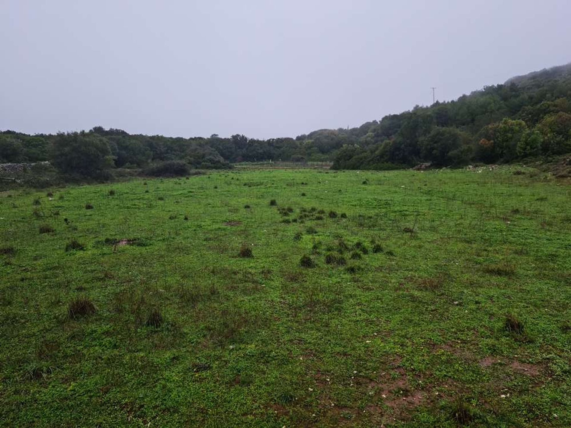 Land i Bochali, Ionia Nisia 10217544