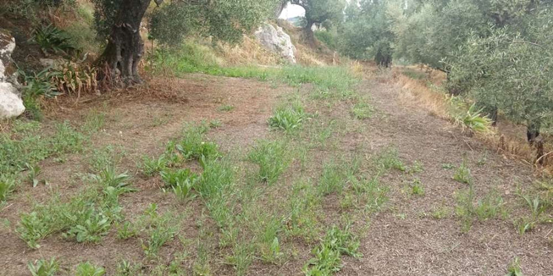 Land in Zakinthos,  10217545