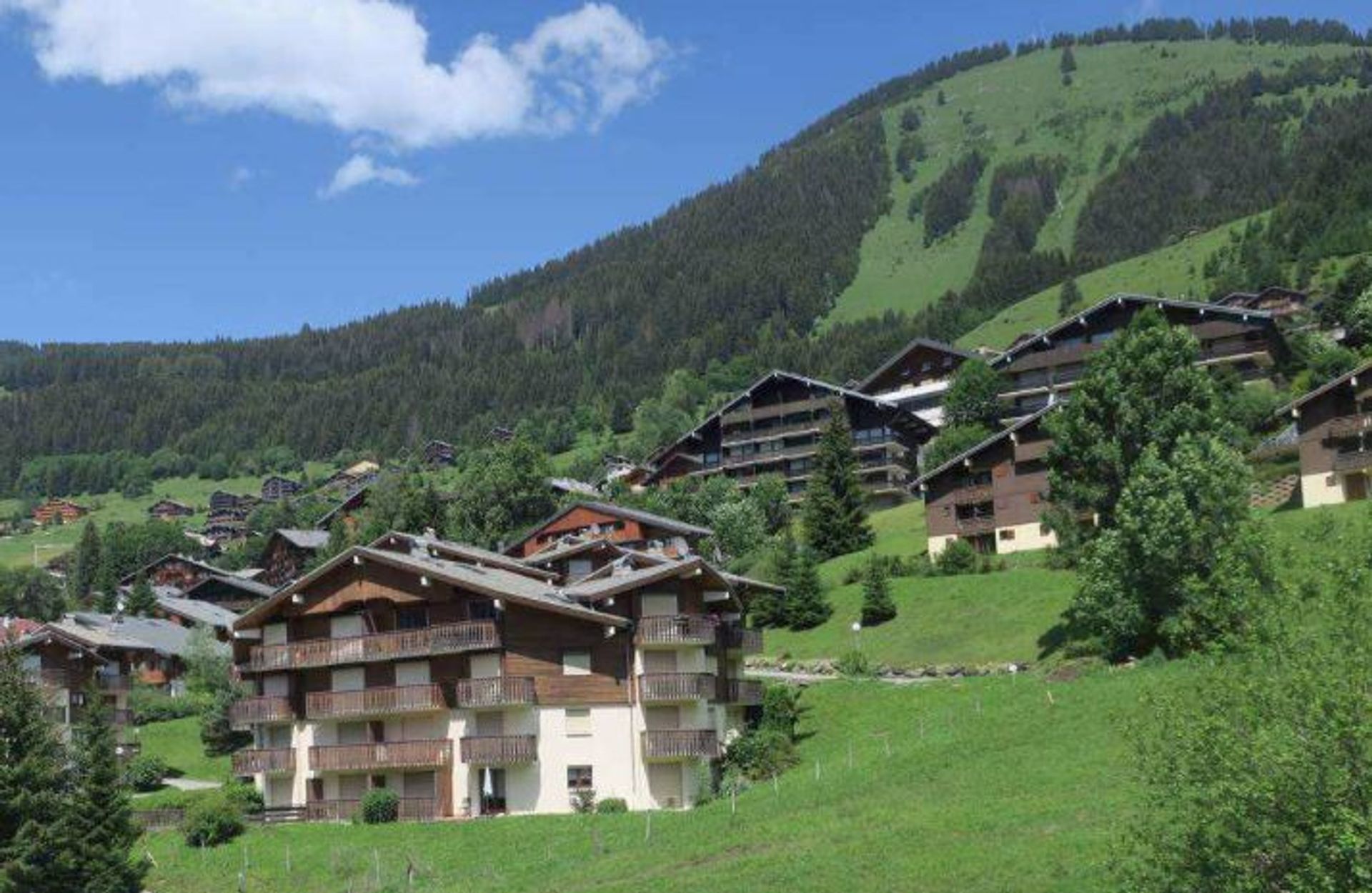 Condominium dans Châtel, Auvergne-Rhône-Alpes 10217956