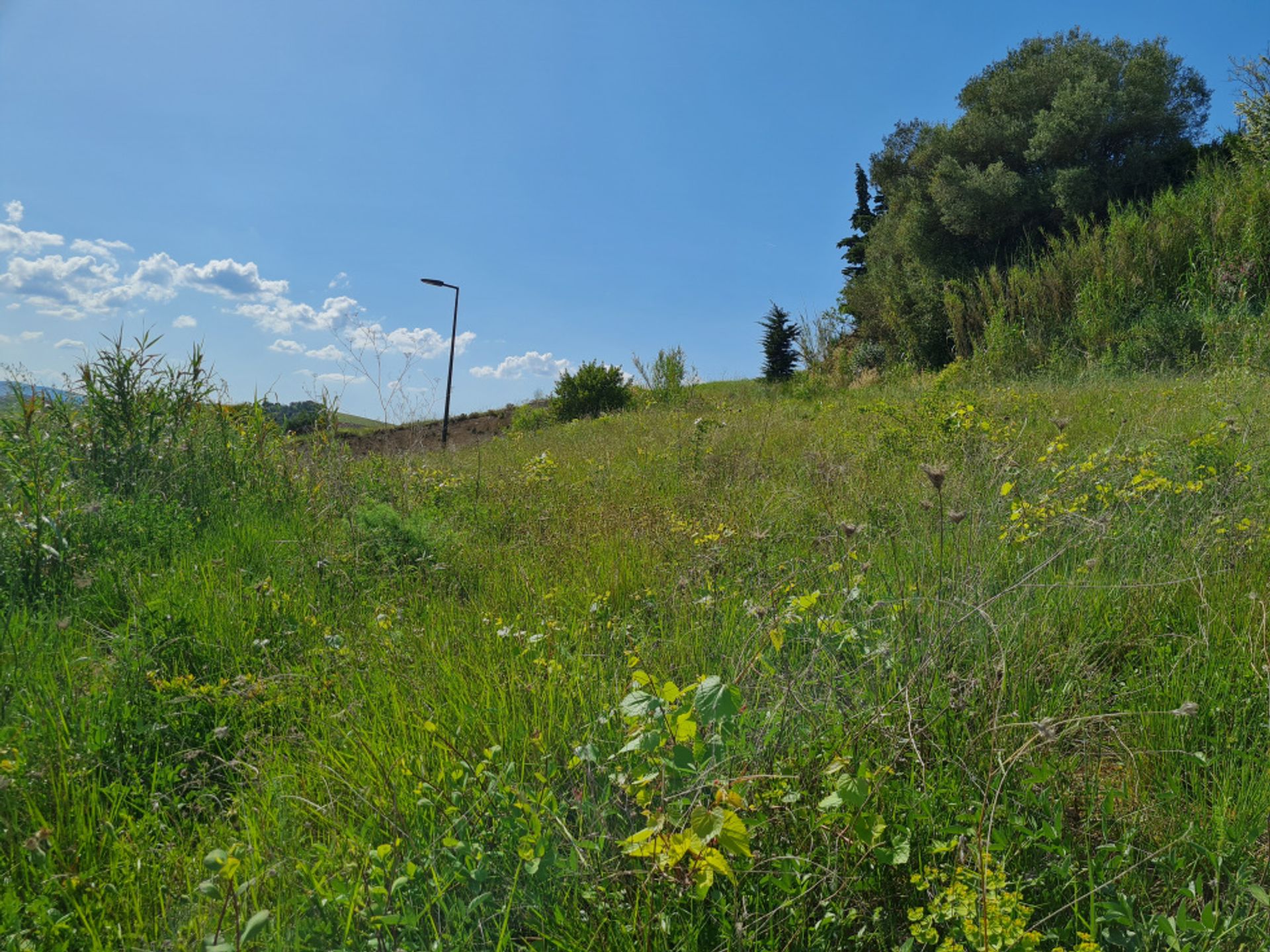 loger dans Limoux, Occitanie 10218041