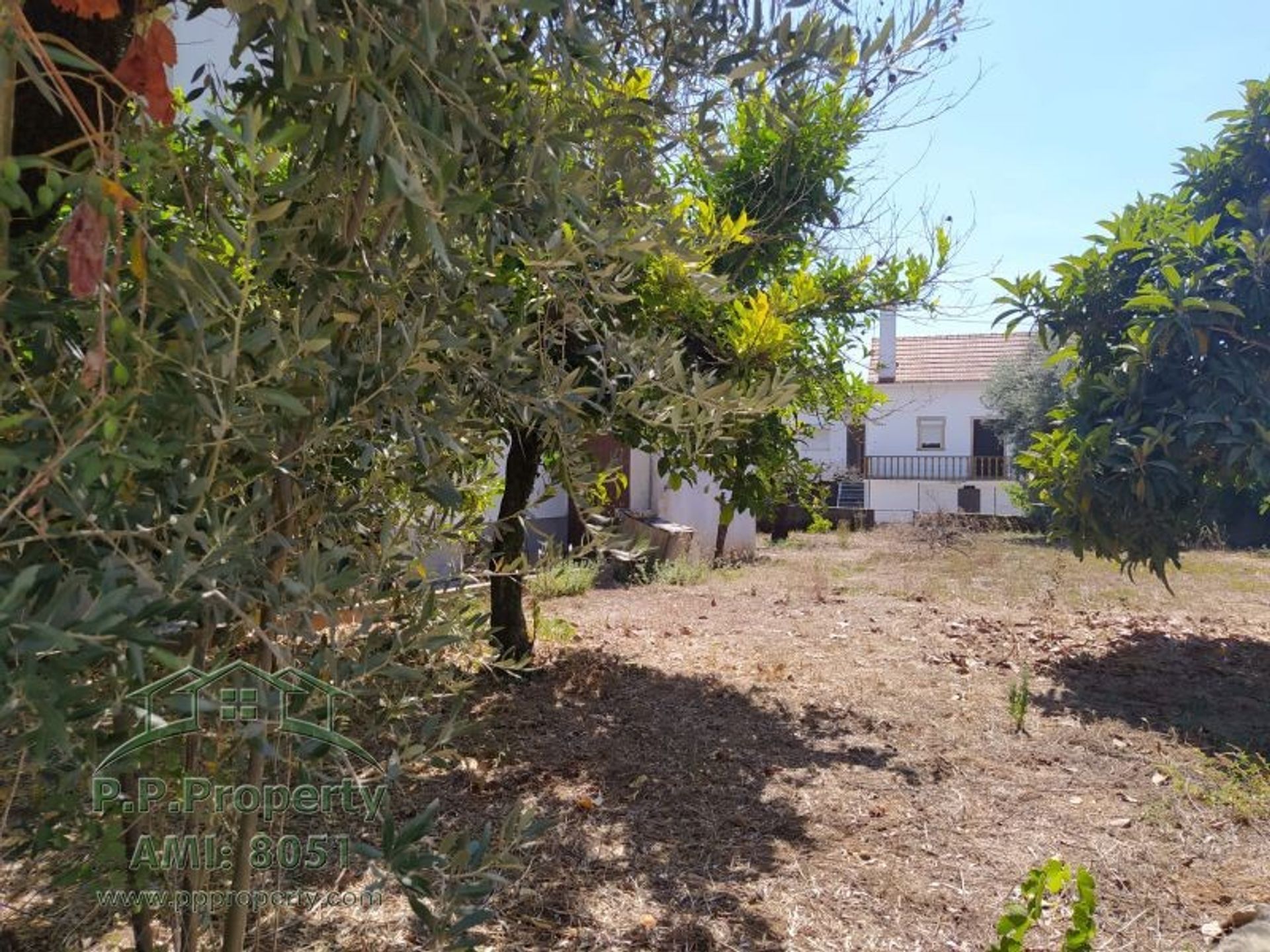 House in Ferreira do Zêzere, Santarém District 10218352