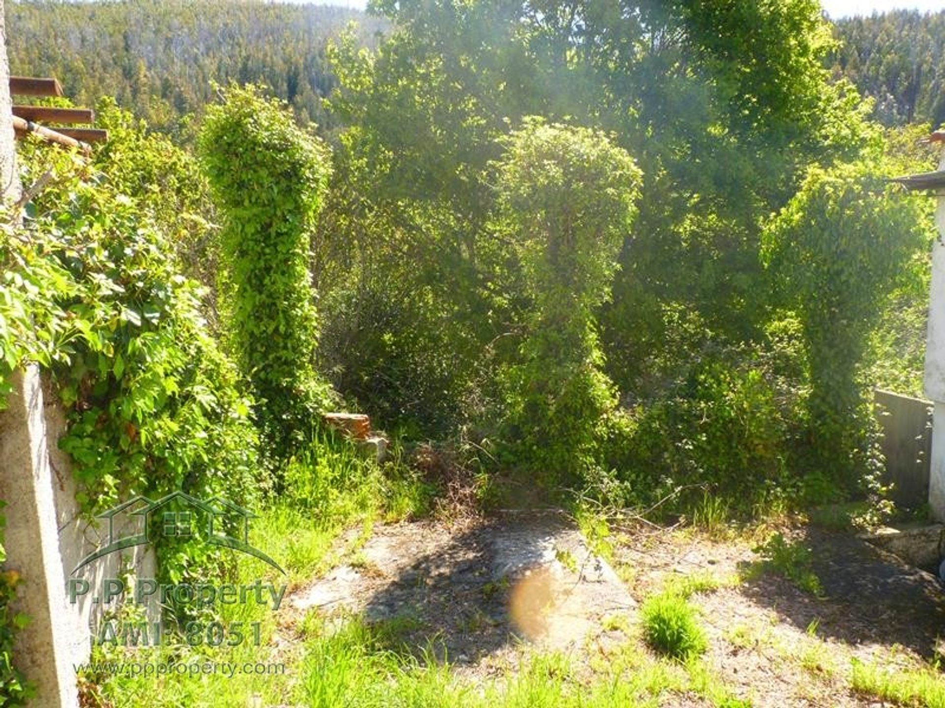 Rumah di Figueiró Dos Vinhos, Leiria District 10218355