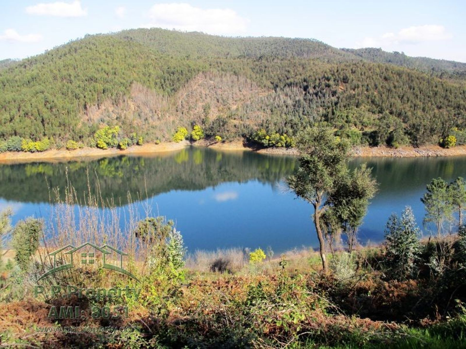 σπίτι σε Ferreira do Zêzere, Santarém District 10218369