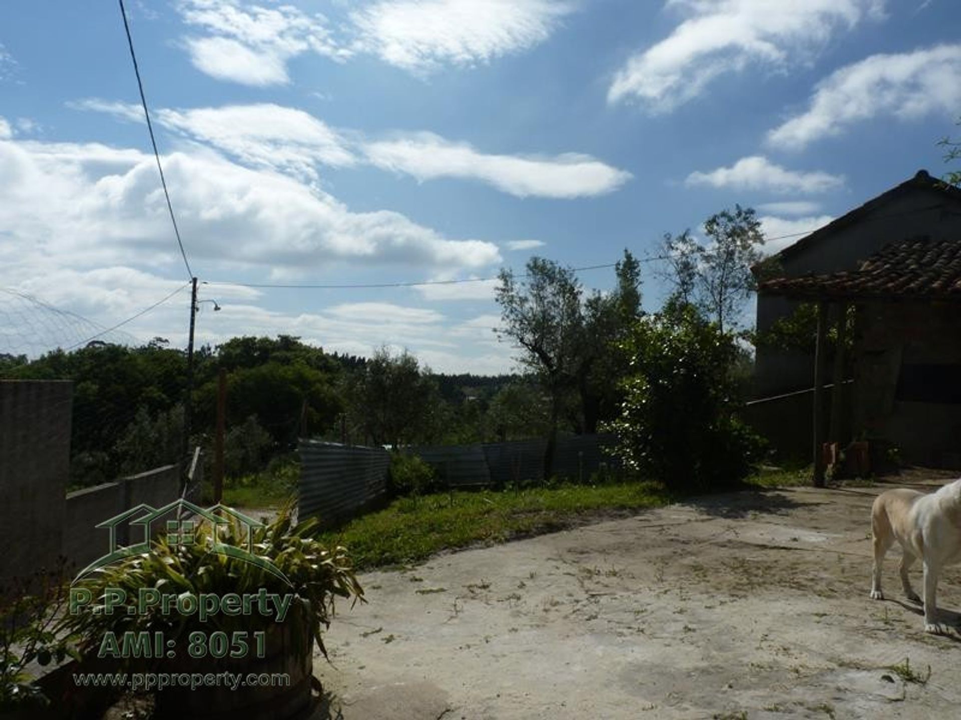 rumah dalam Figueiró Dos Vinhos, Leiria District 10218371