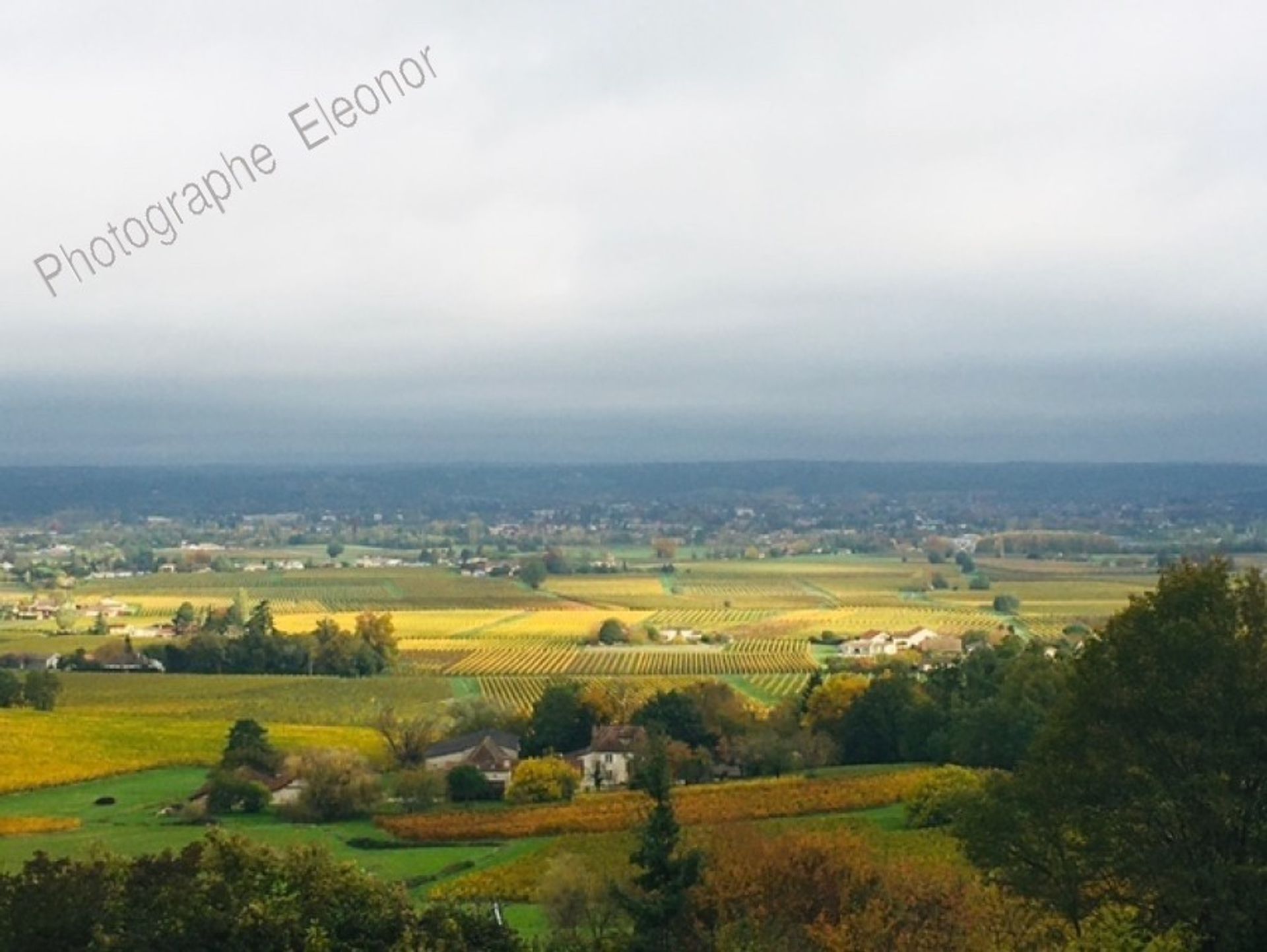 Andet i Monbazillac, Nouvelle-Aquitaine 10218395