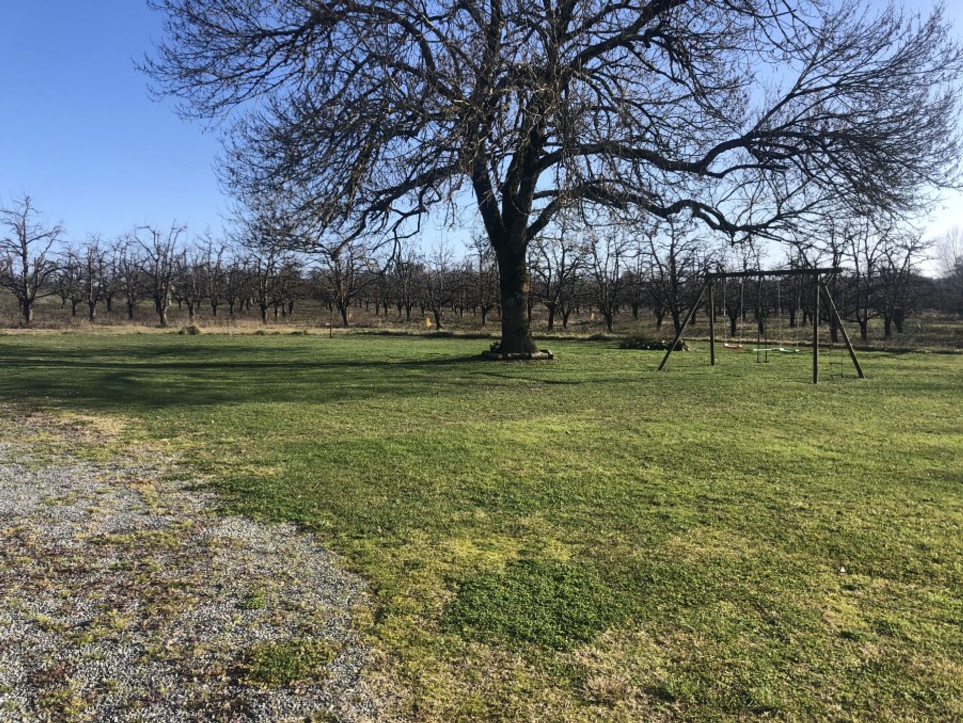 Hus i Savignac-de-Duras, Nouvelle-Aquitaine 10218411