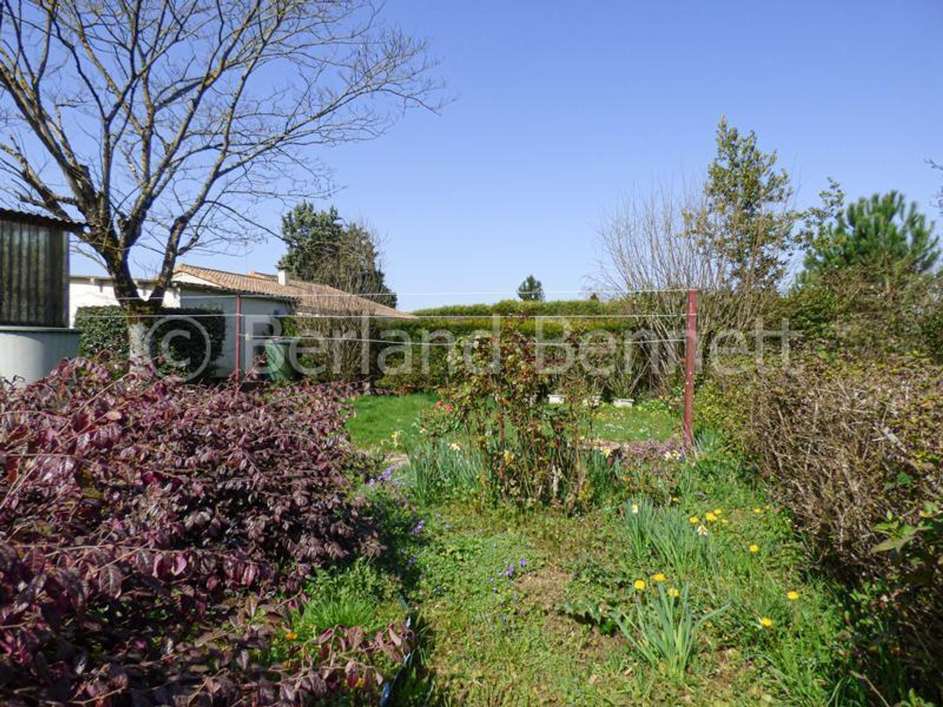 House in Sauzé-Vaussais, Nouvelle-Aquitaine 10218423