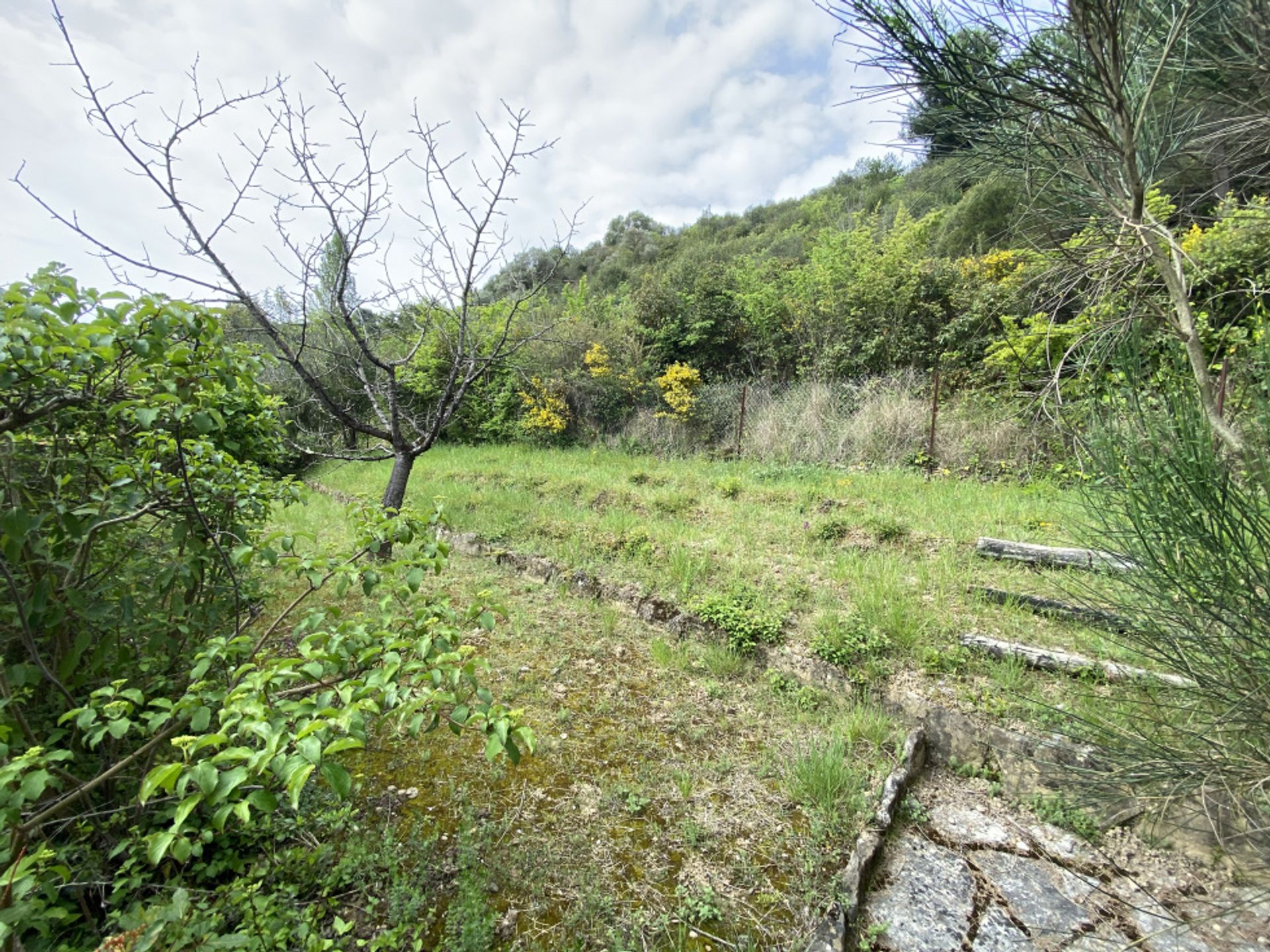 Talo sisään Limoux, Occitanie 10218437